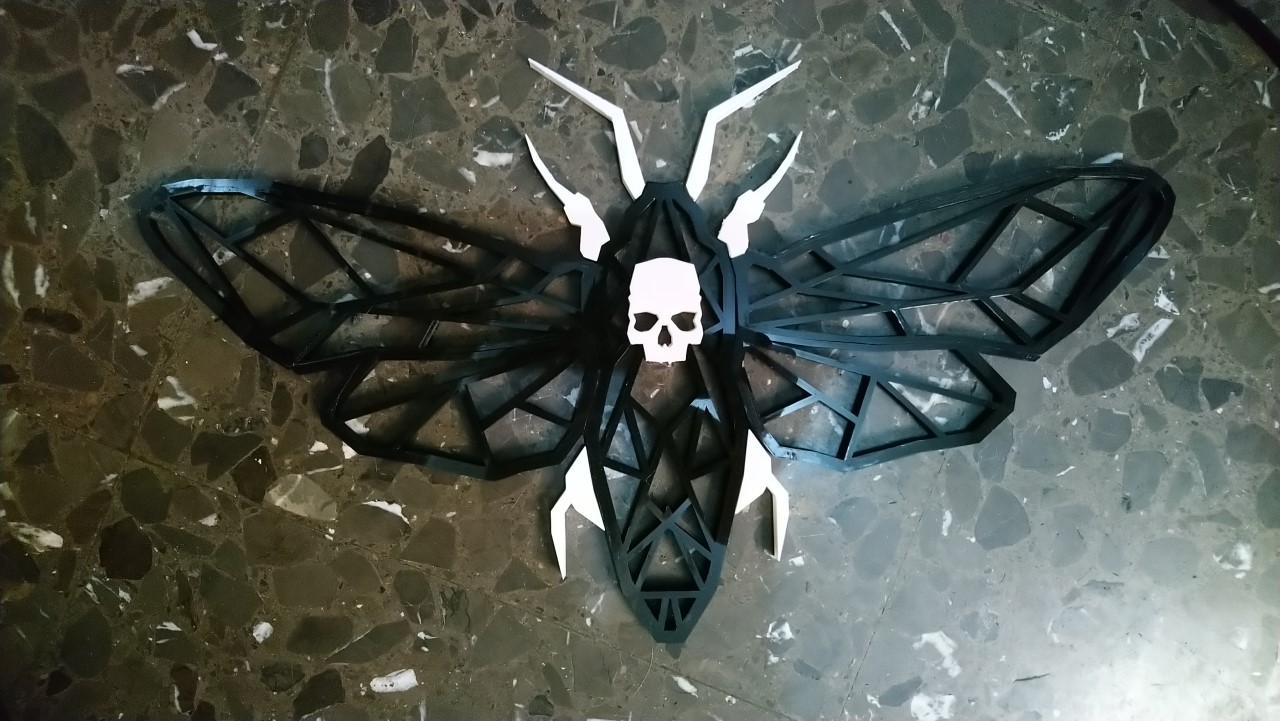 Geometric Moth