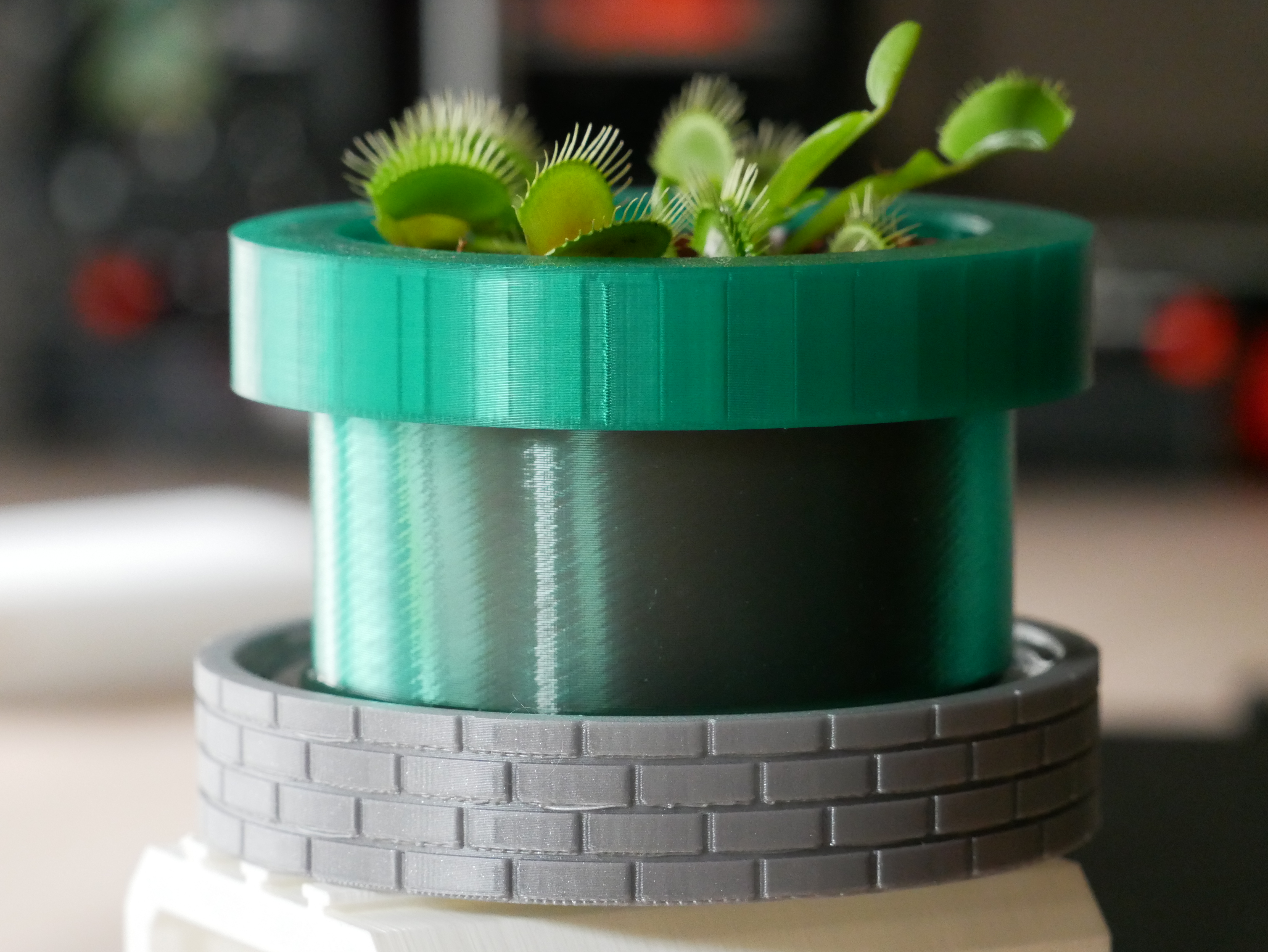 Piranha Plant Pipe Flower Pot (Venus Flytrap)