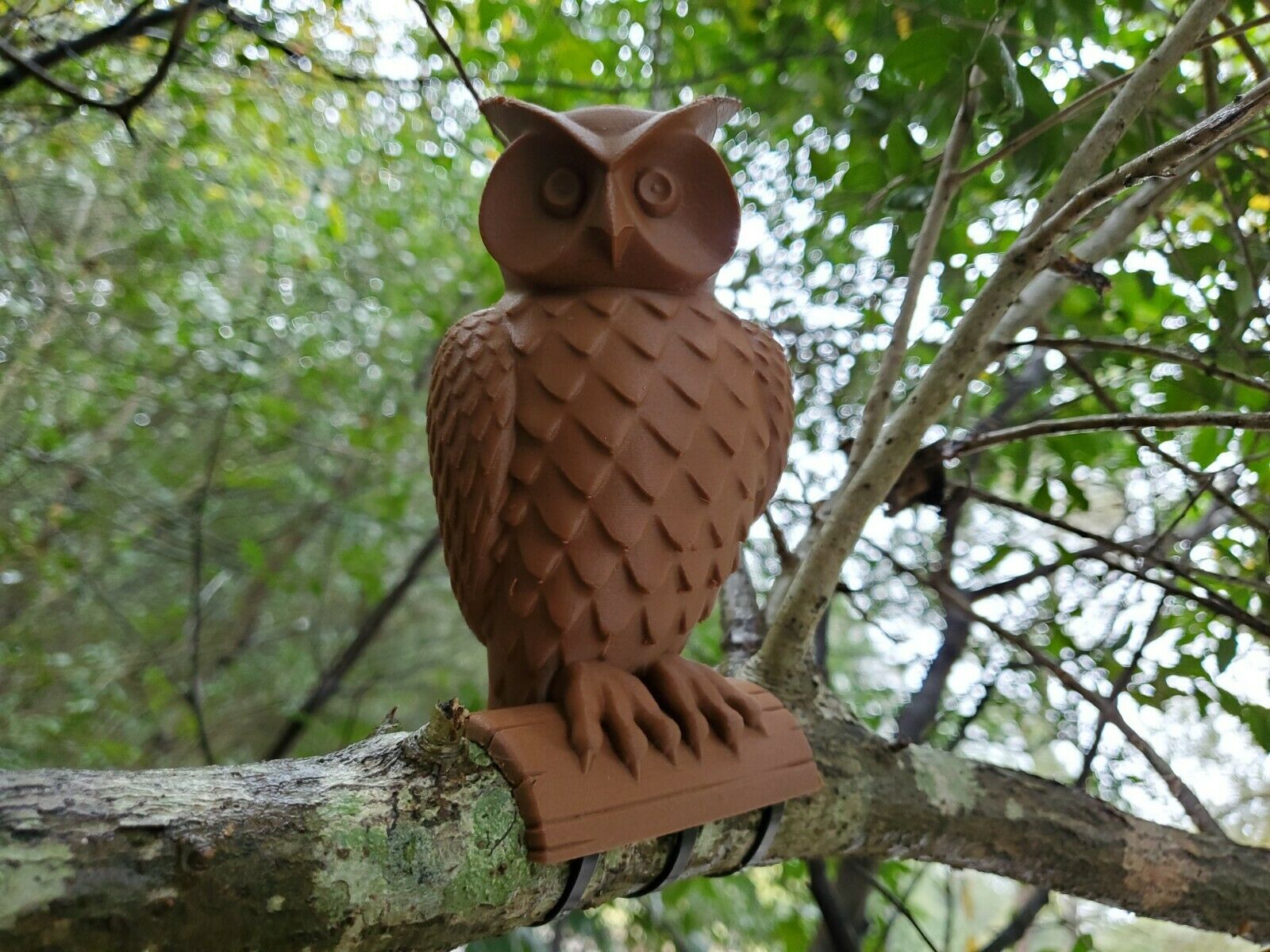 Owl geocache
