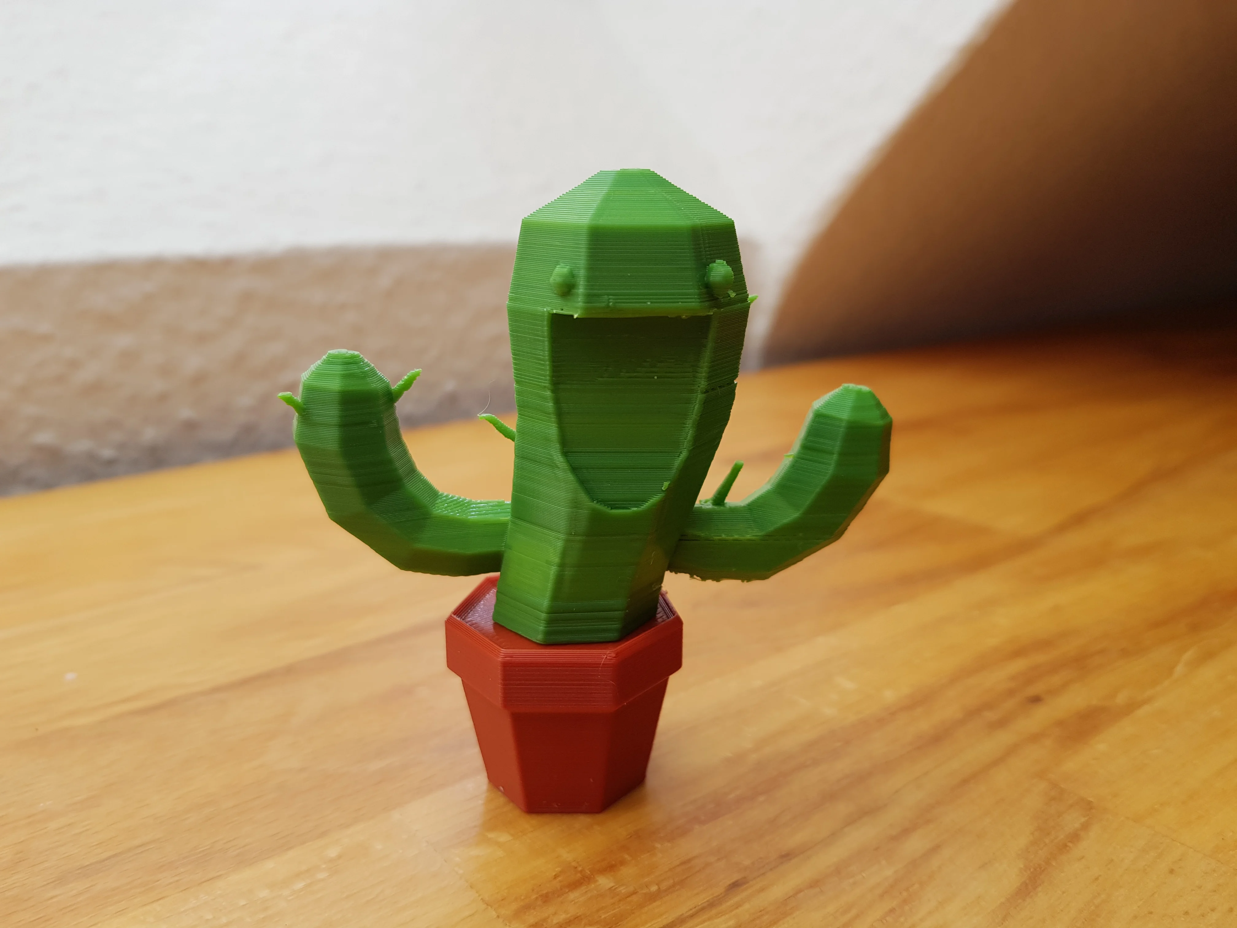 Smiling cactus