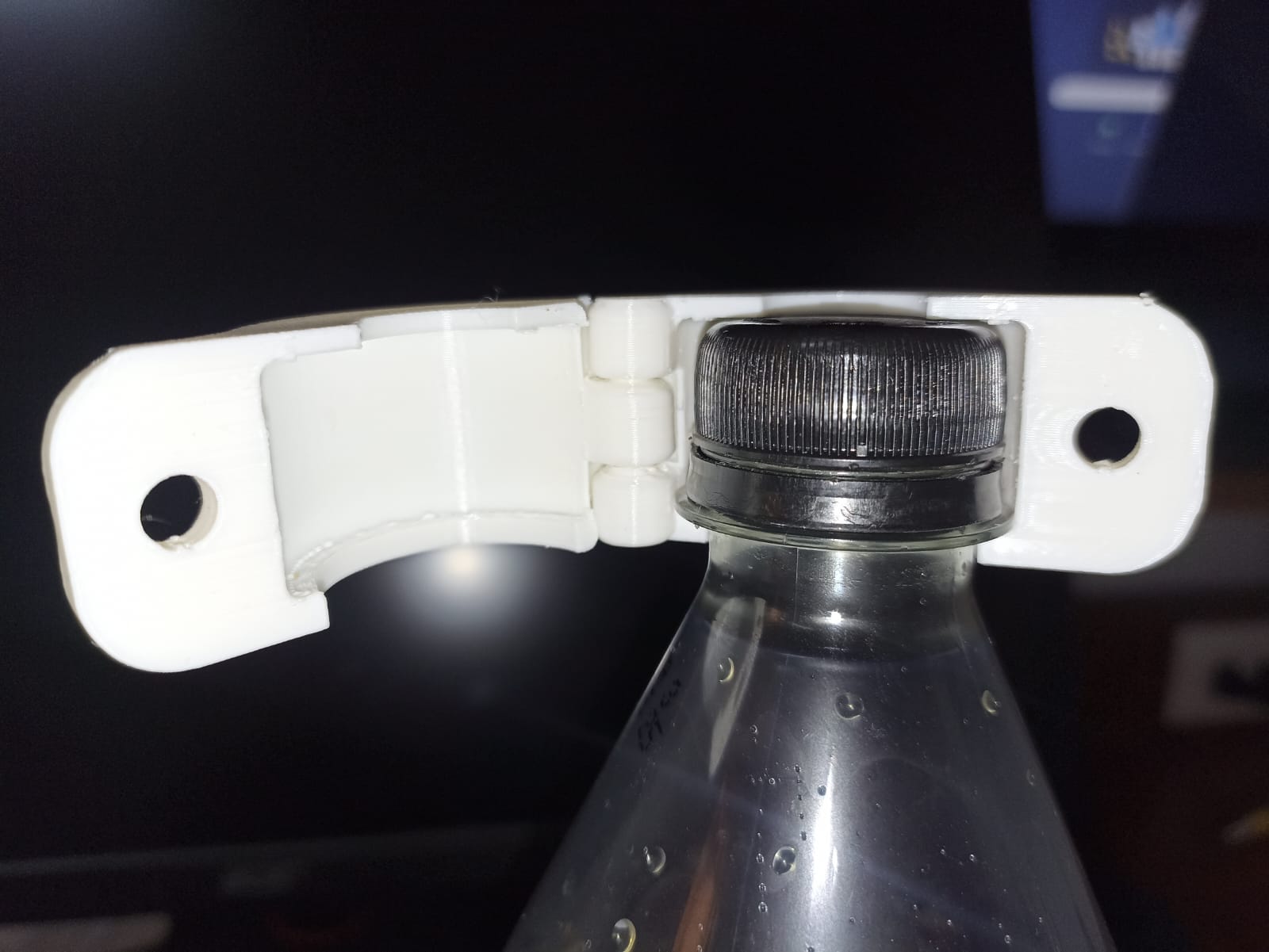 Bottle Lock
