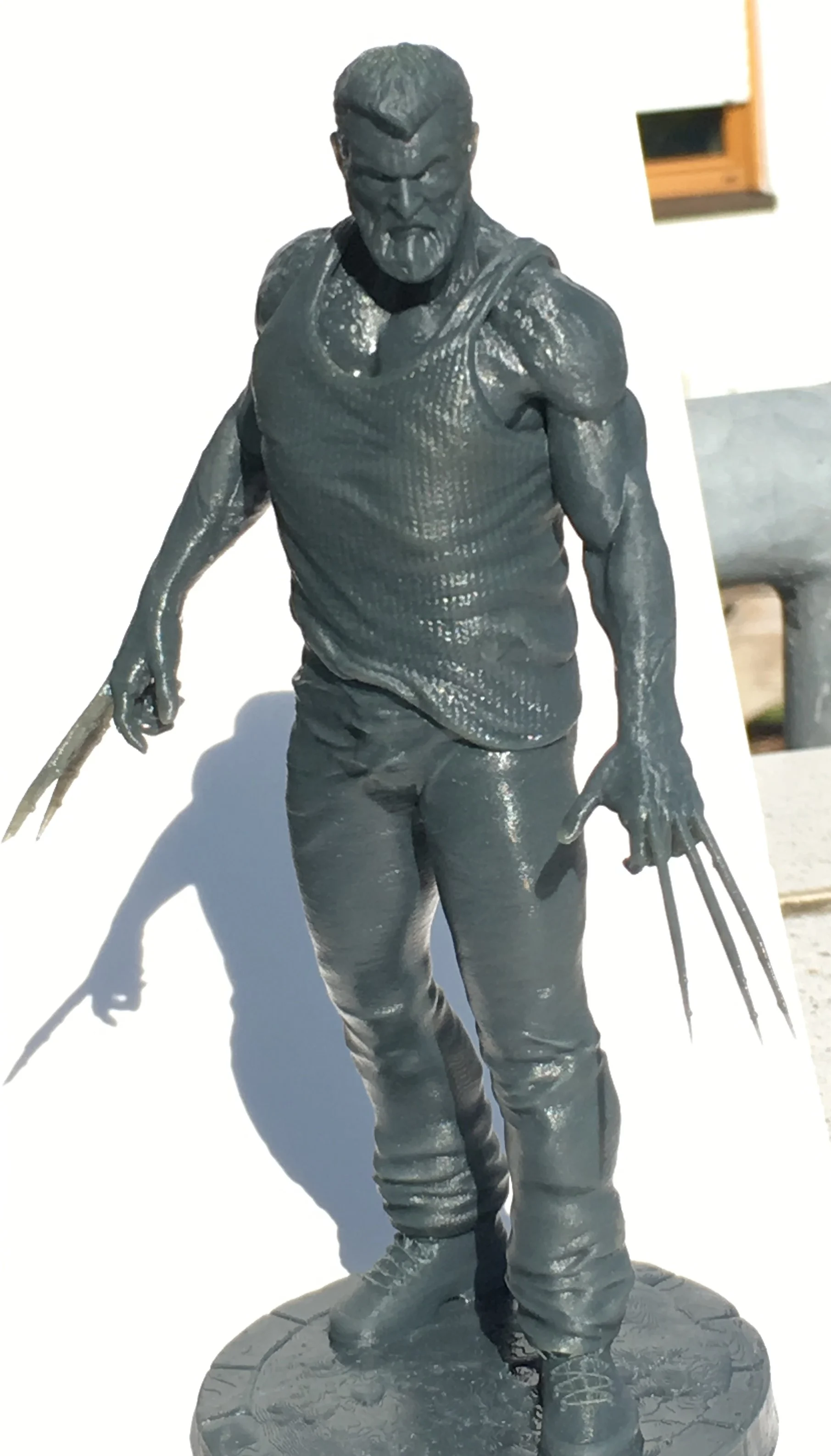 Logan old Man prepared for D7