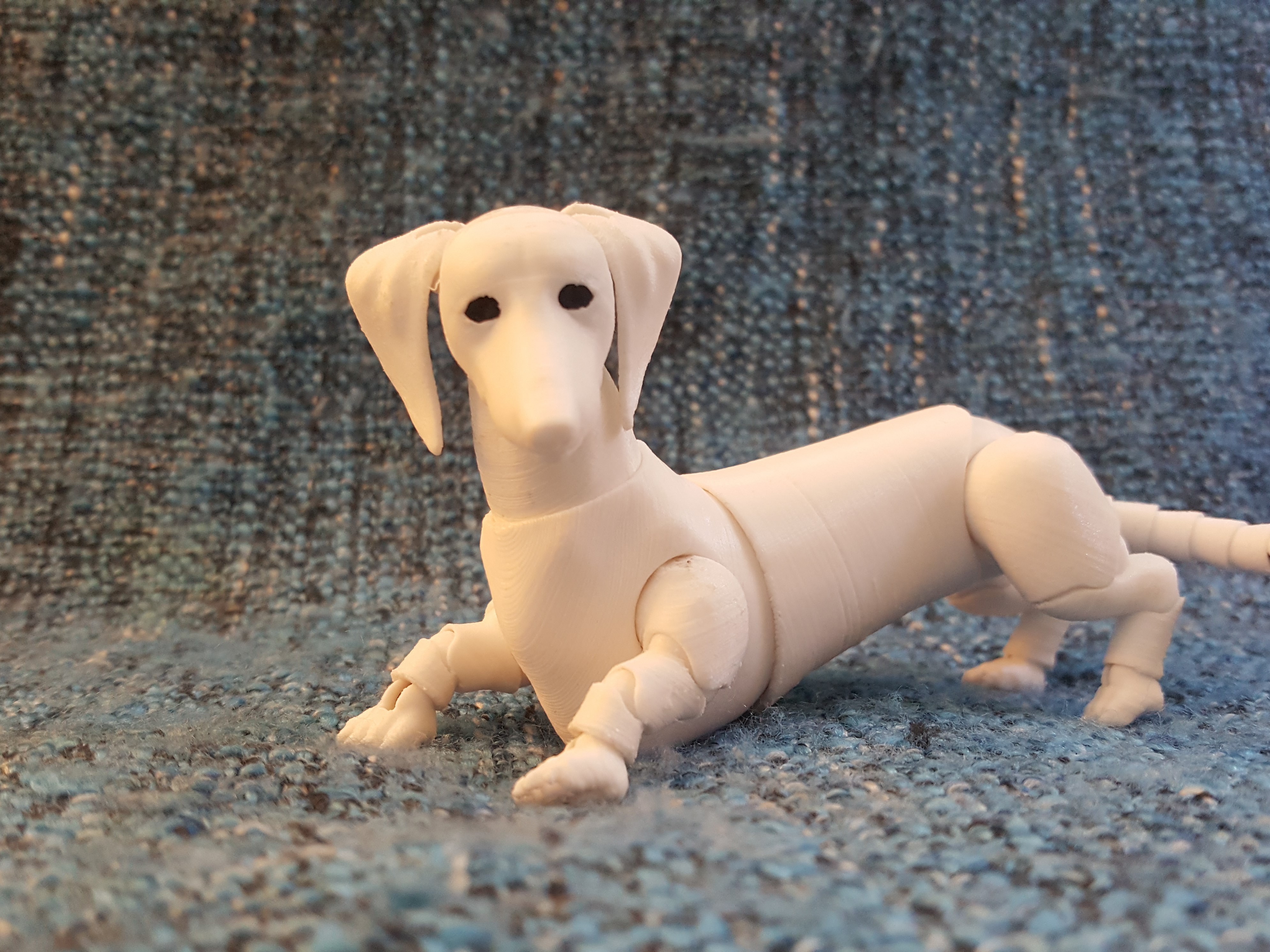 dachshund (BJD)