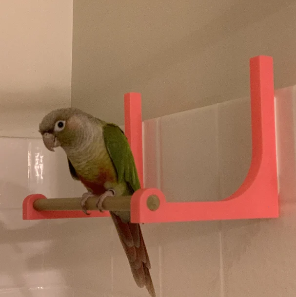 Small Bird Shower Perch