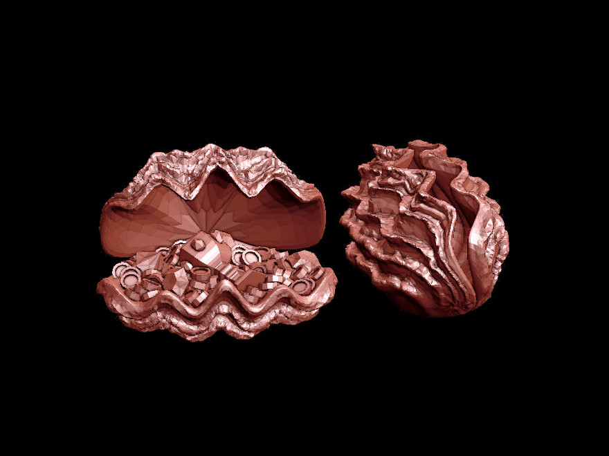 Treasure Clam