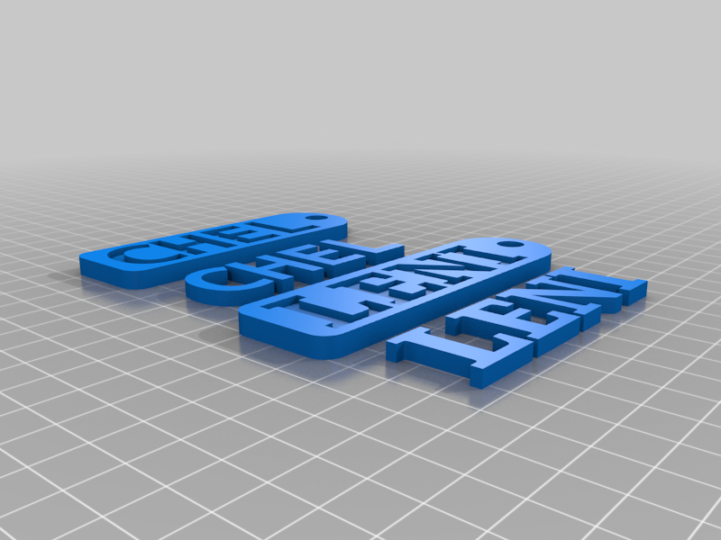 Simple Bag Tag or Keychain