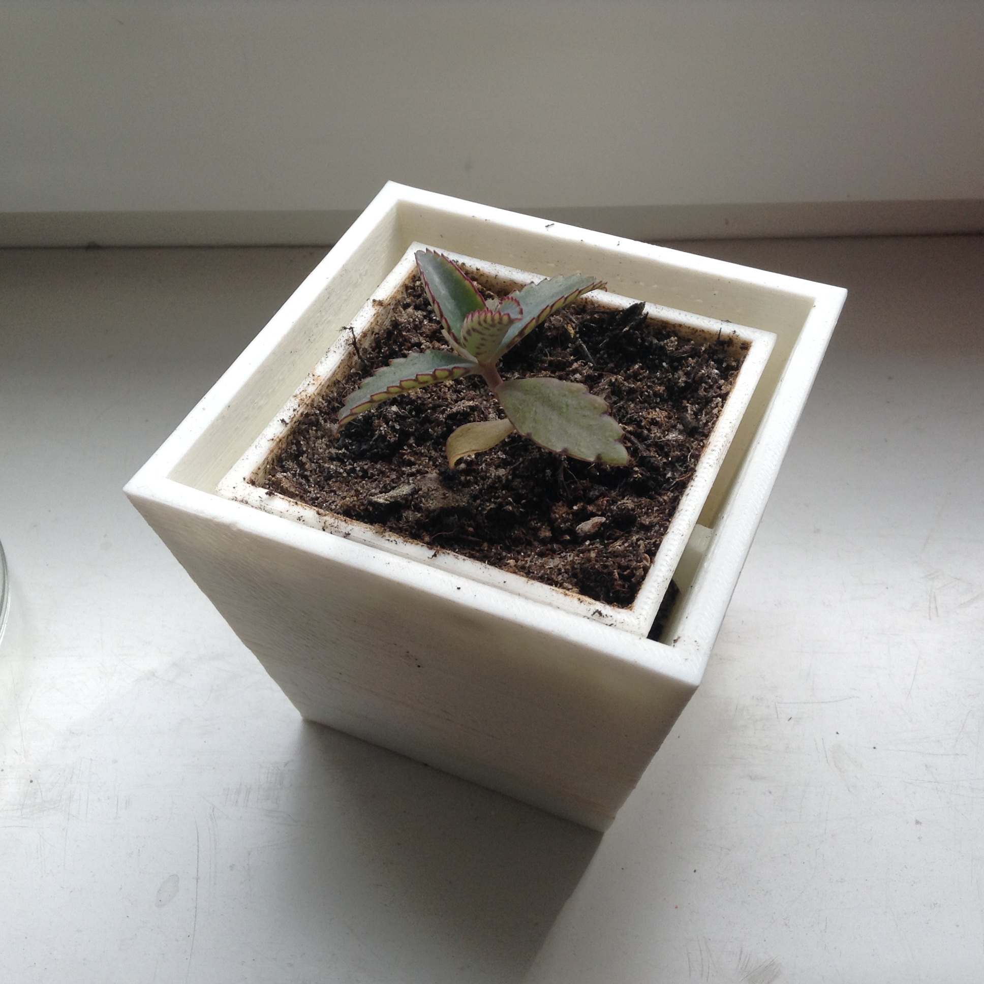 Plantpot (hangable)
