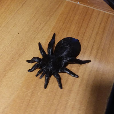 Tarantola5