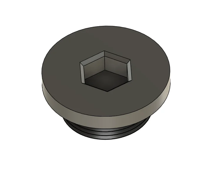 Crankcase plug (DL650, SV650, etc)