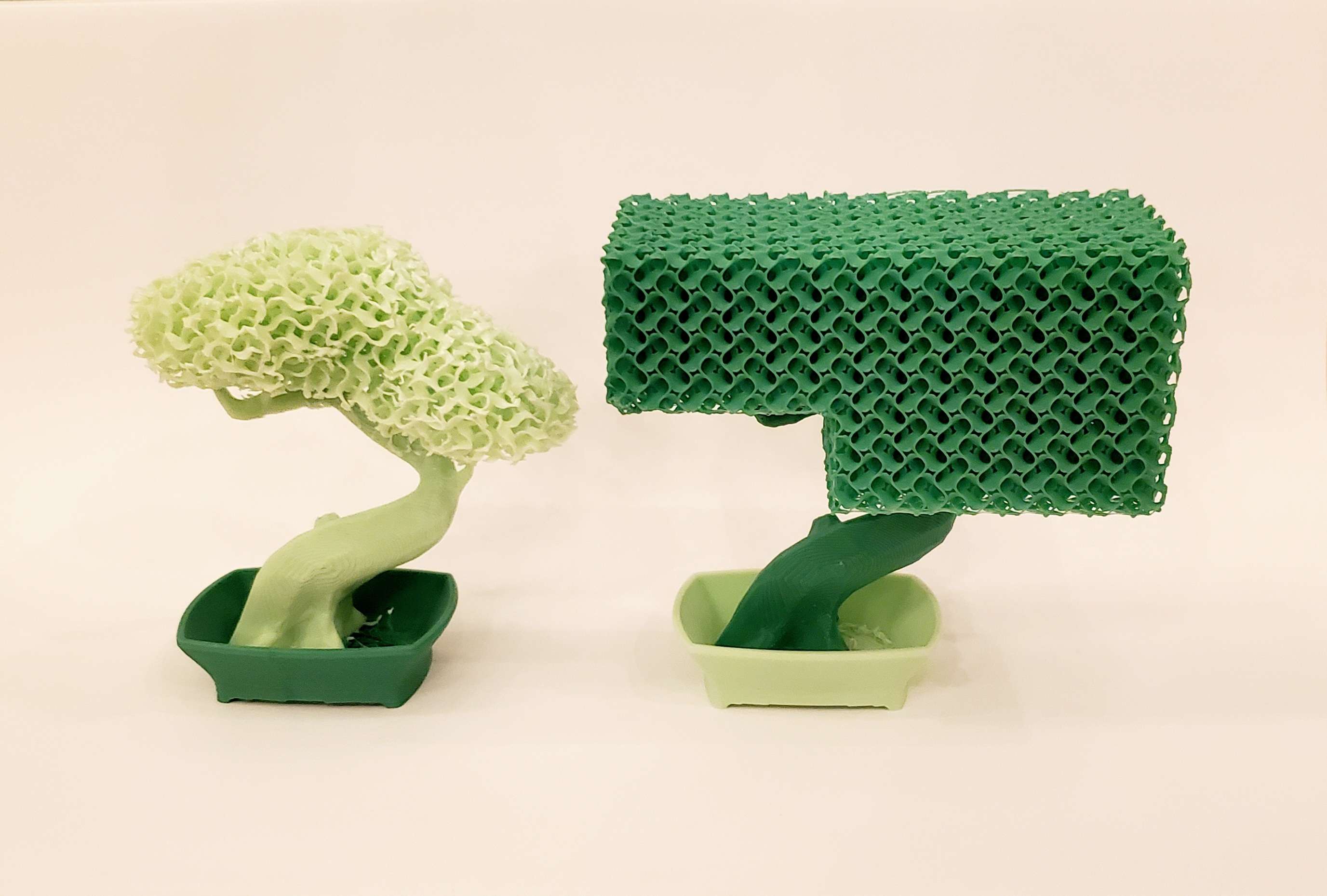 Trimmable Bonsai