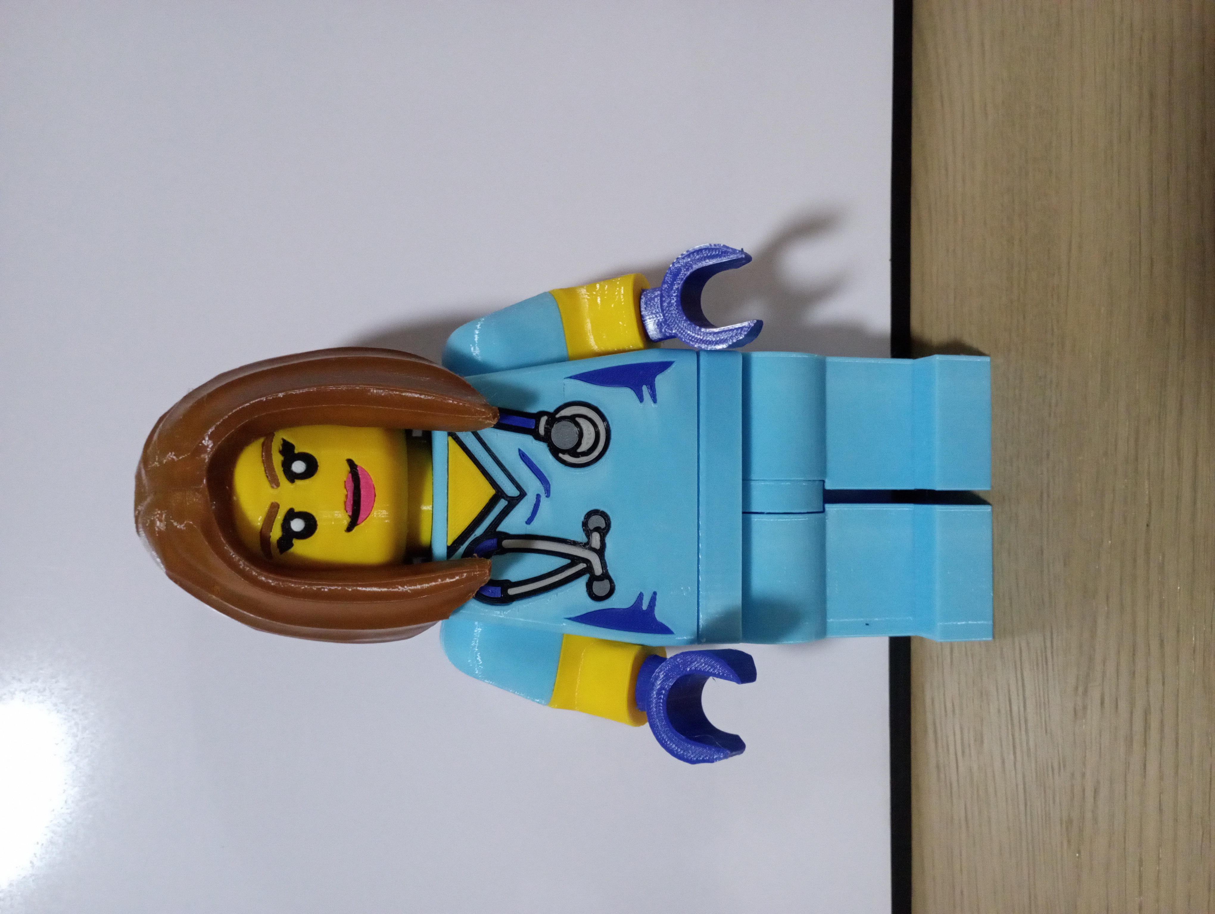 Veterinarian Giant Minifig