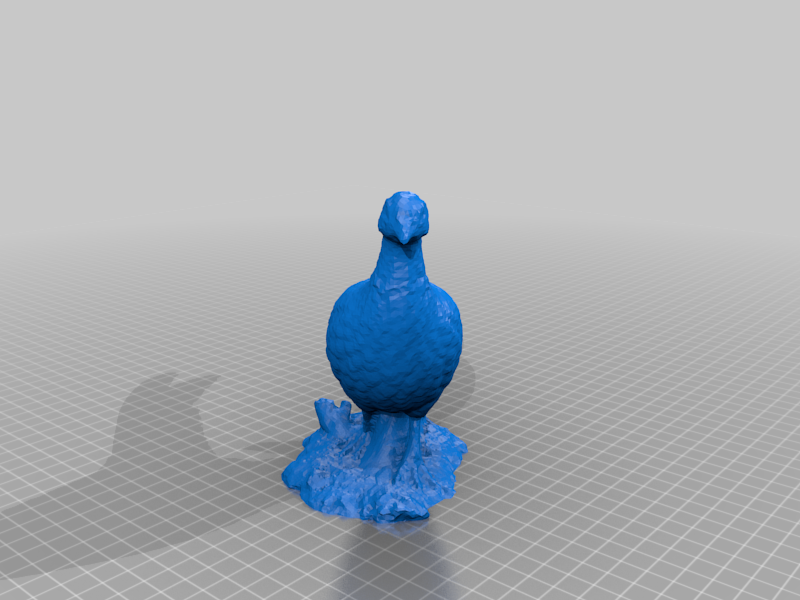 Updated Rooster Pheasant