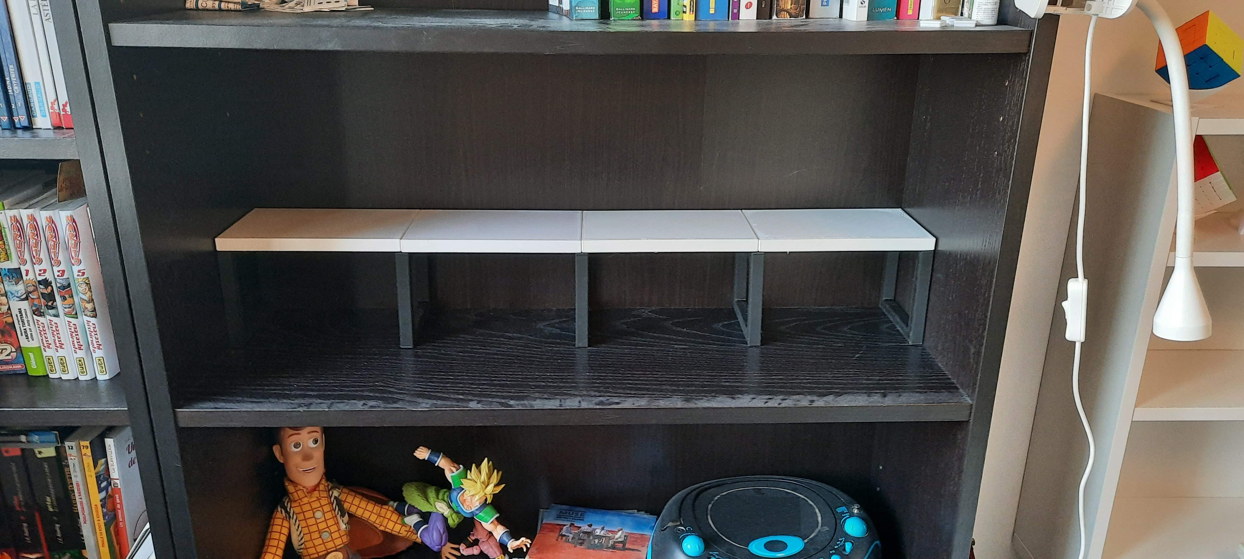 Manga and Book Shelf