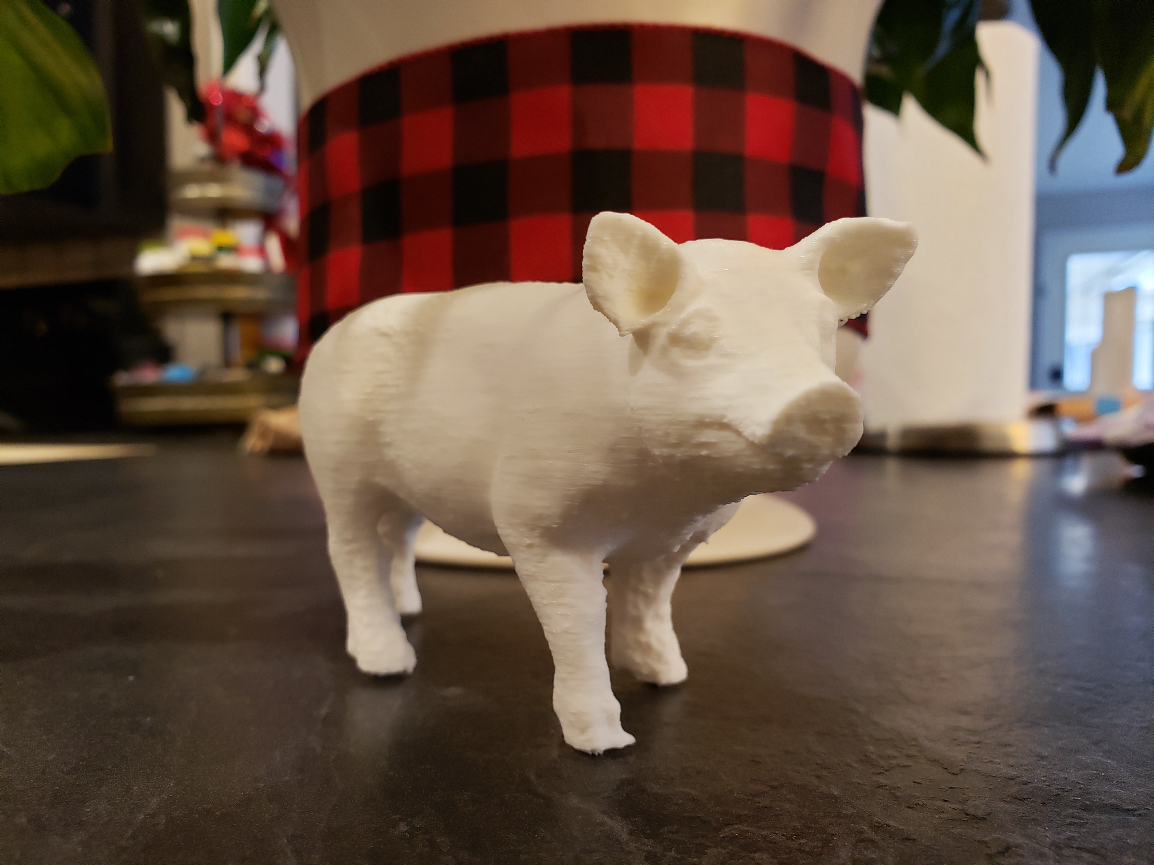 Pig