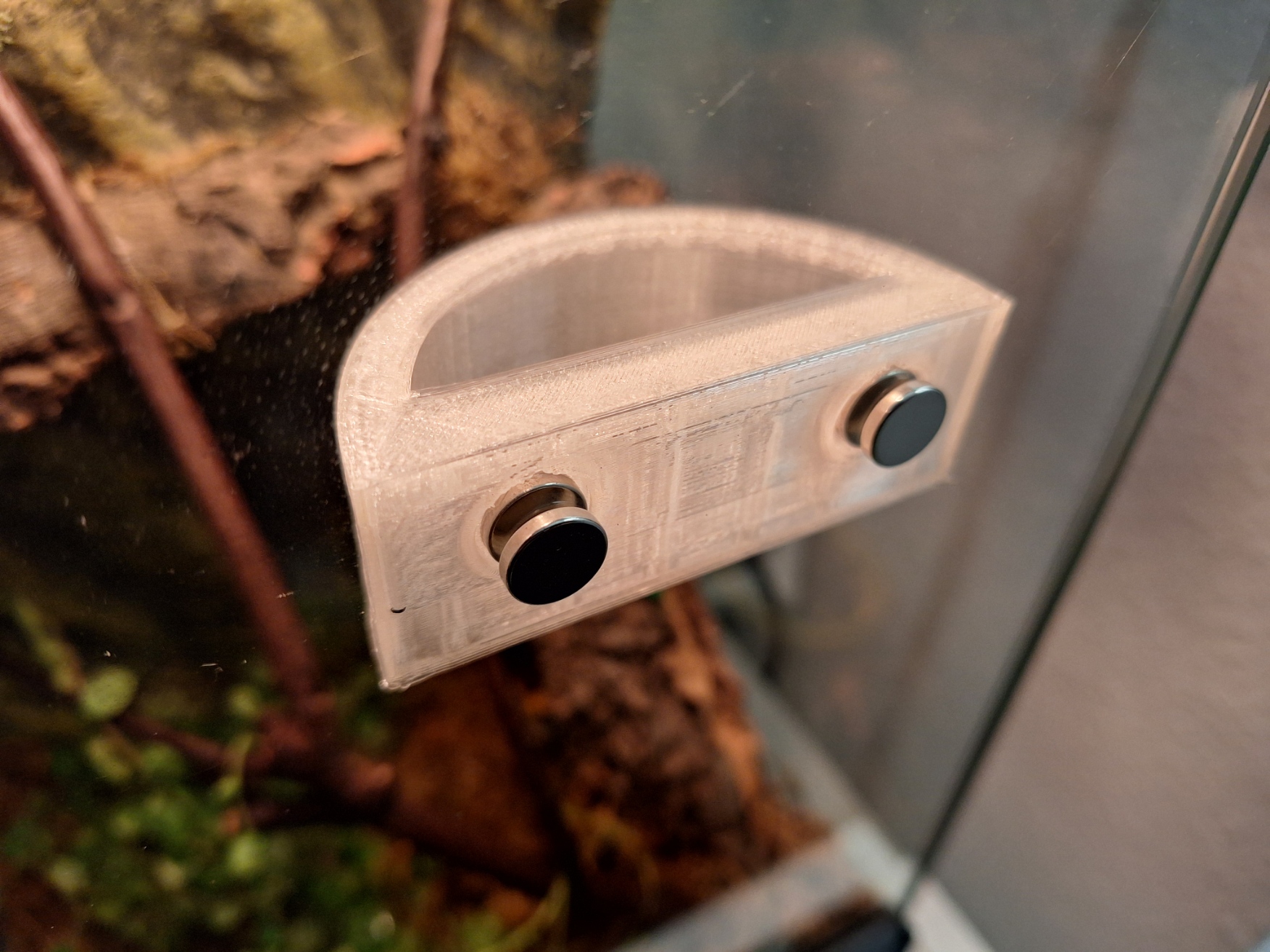 Jumping spider feeding tray with overhangs