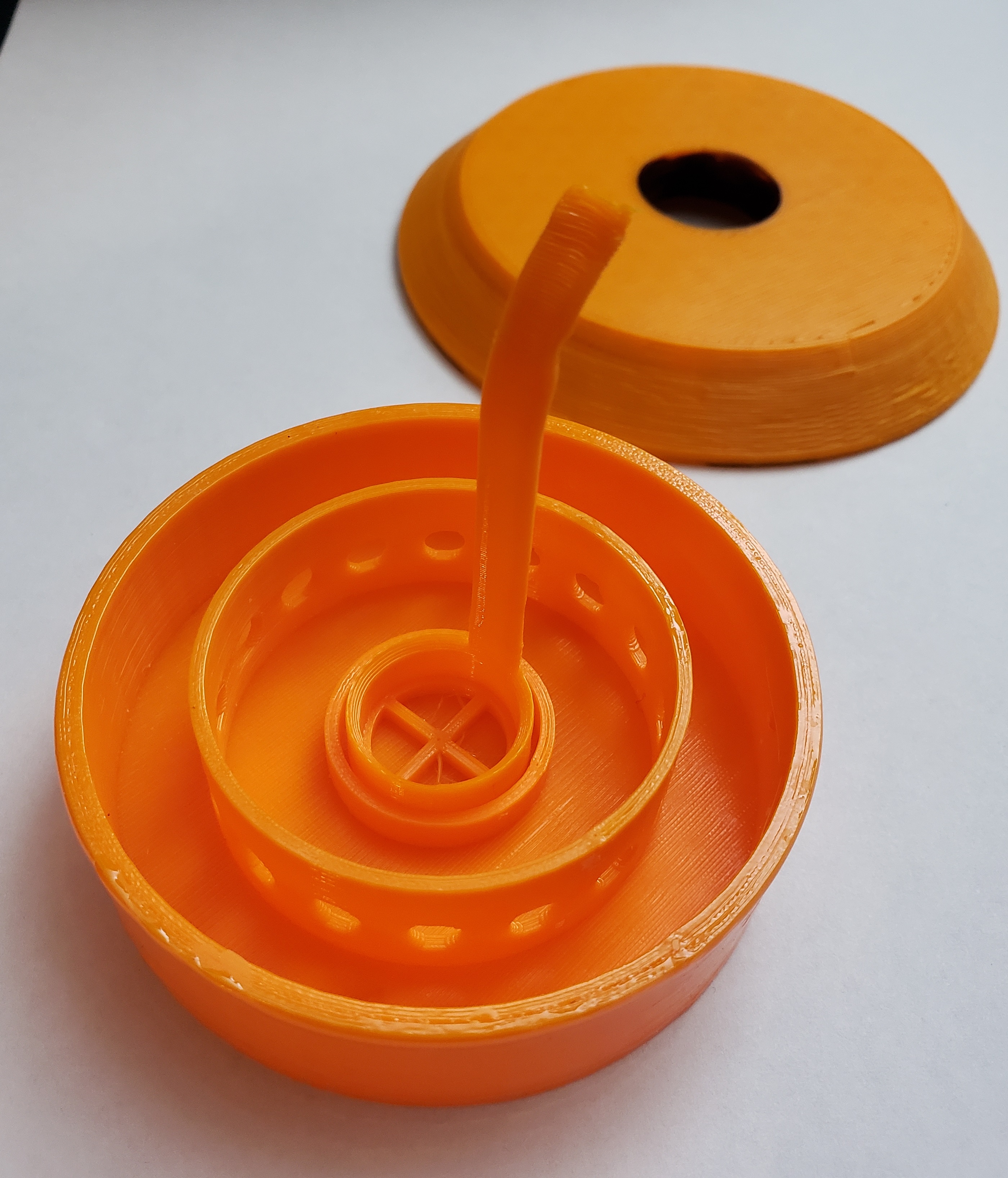 Brine Shrimp Hatchery Dish