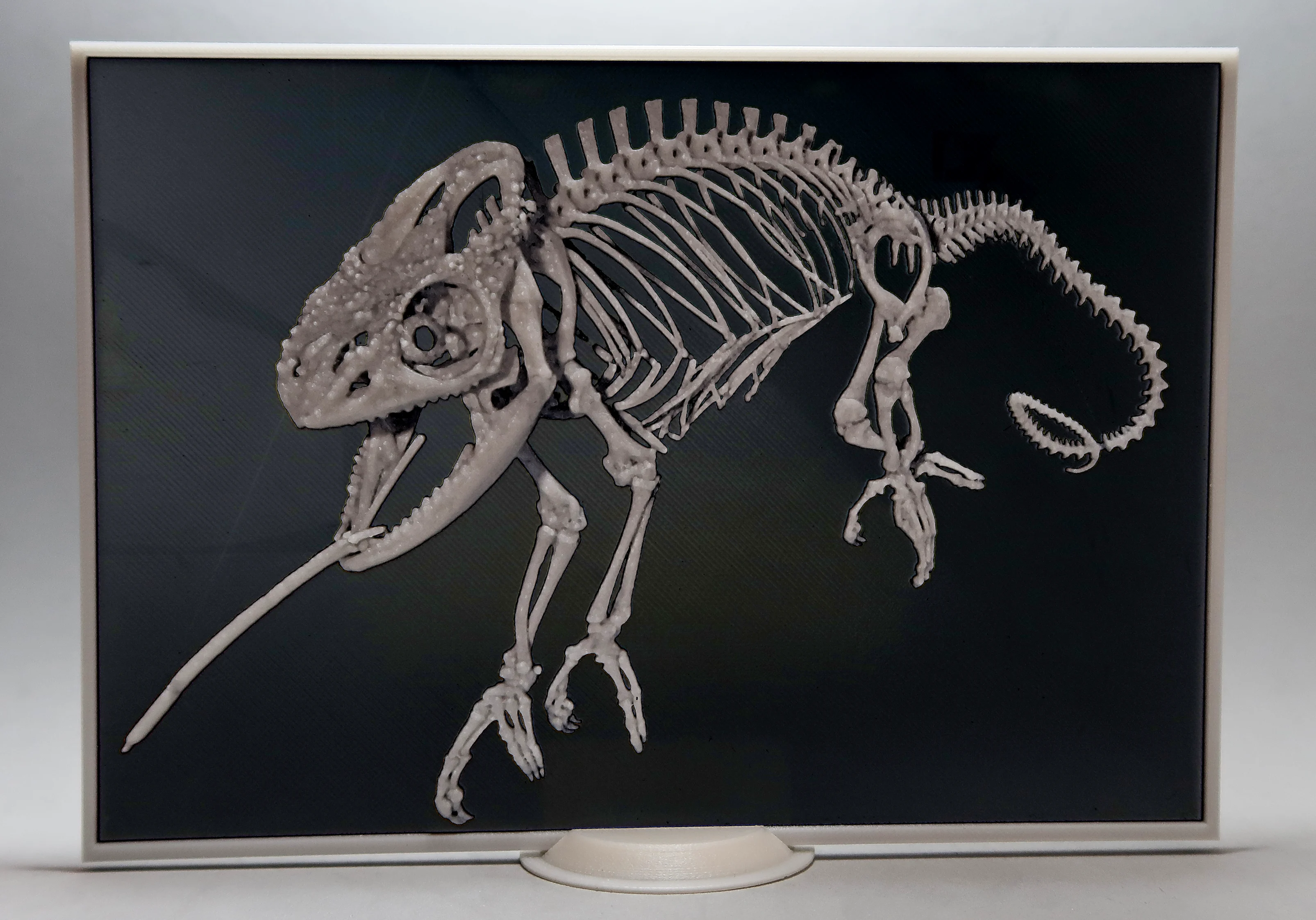 chameleon 3D