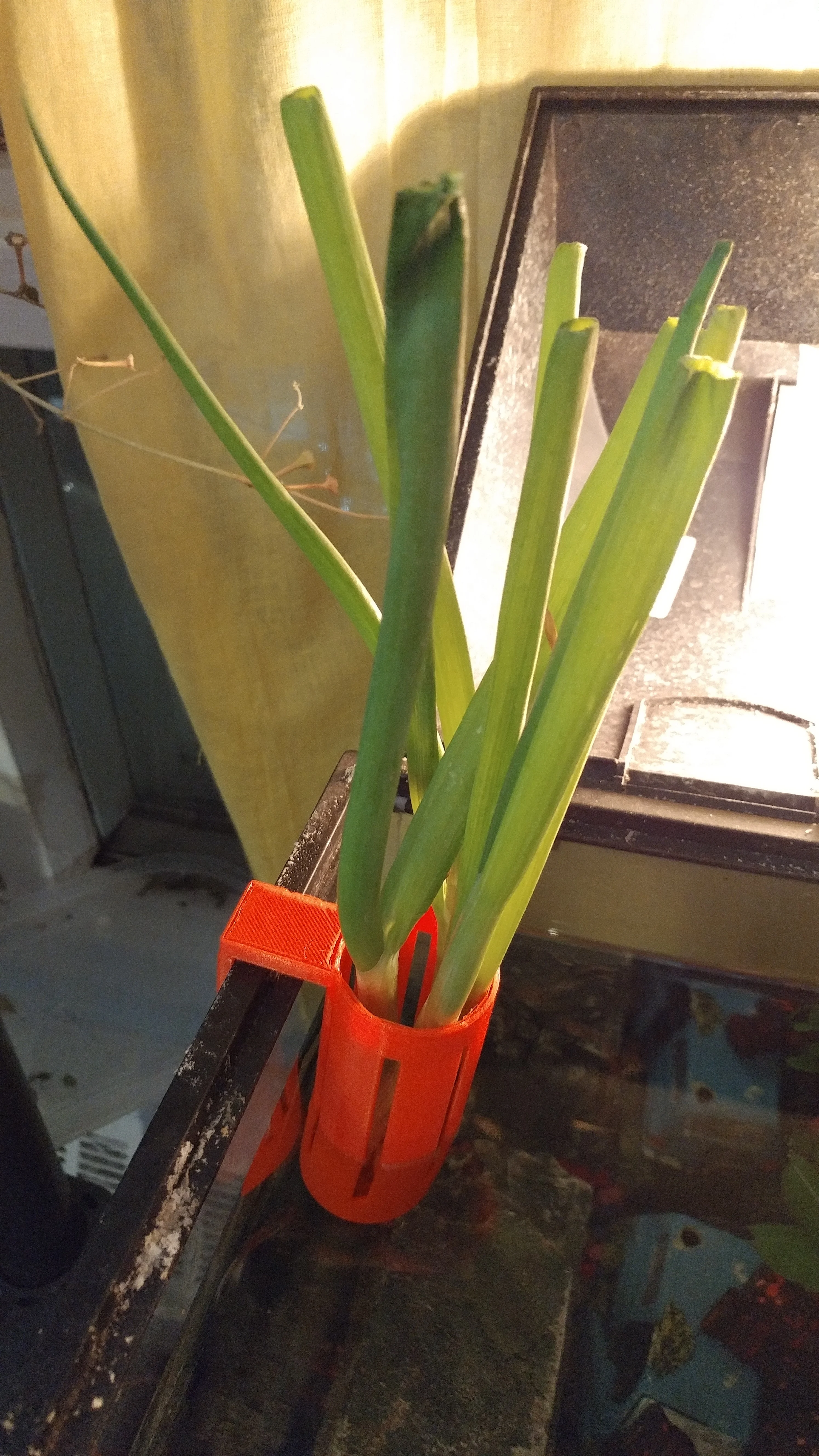 Hydroponic Aquarium Plant Hanger (HAPH)