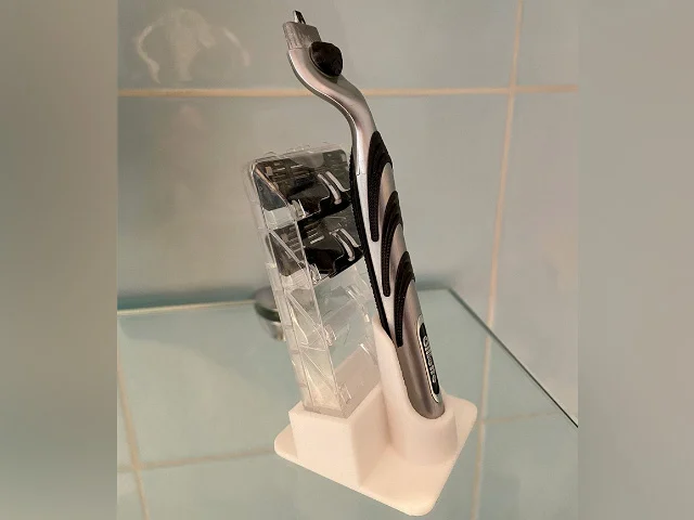 Holder for razor and razor blades