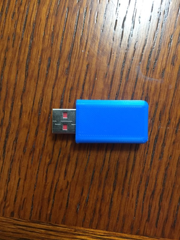 Sandisk Cruzer 8GB Flashdrive Case