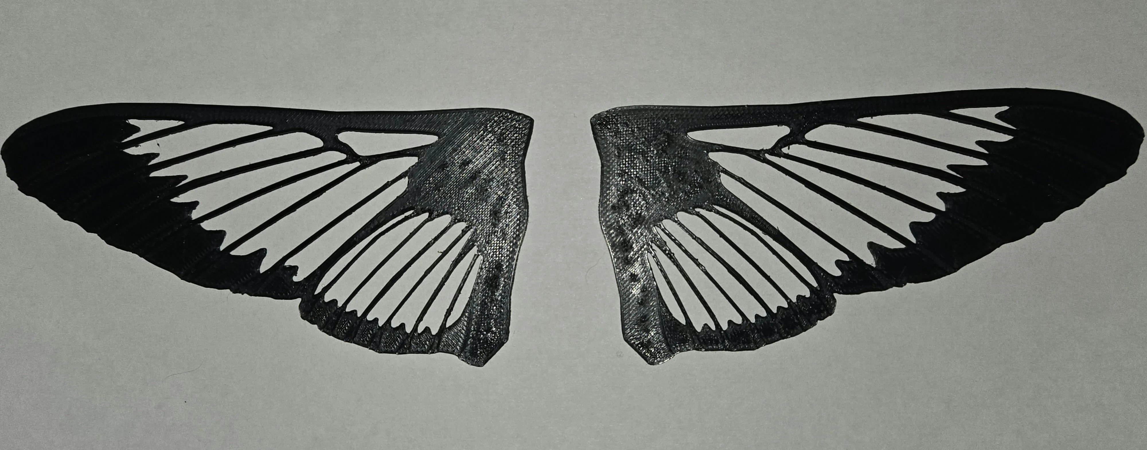 Realistic hummingbird clearwing moth wings
