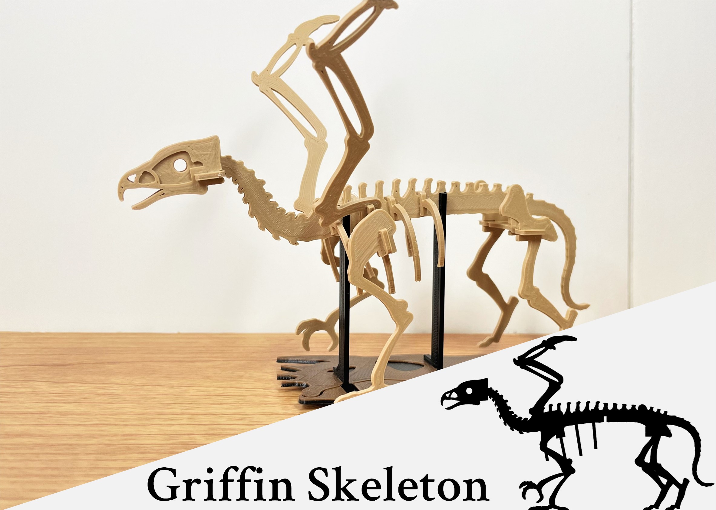 [Fantasy & Primal] Griffin Skeleton