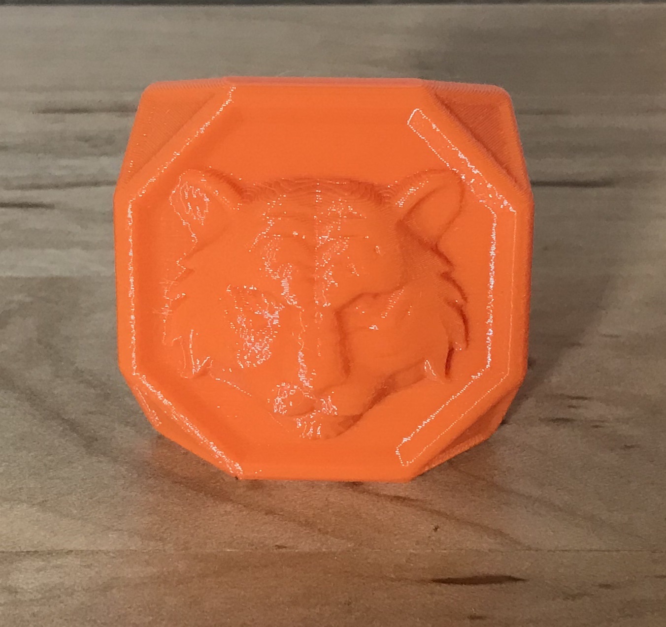 Tiger Scout Slide