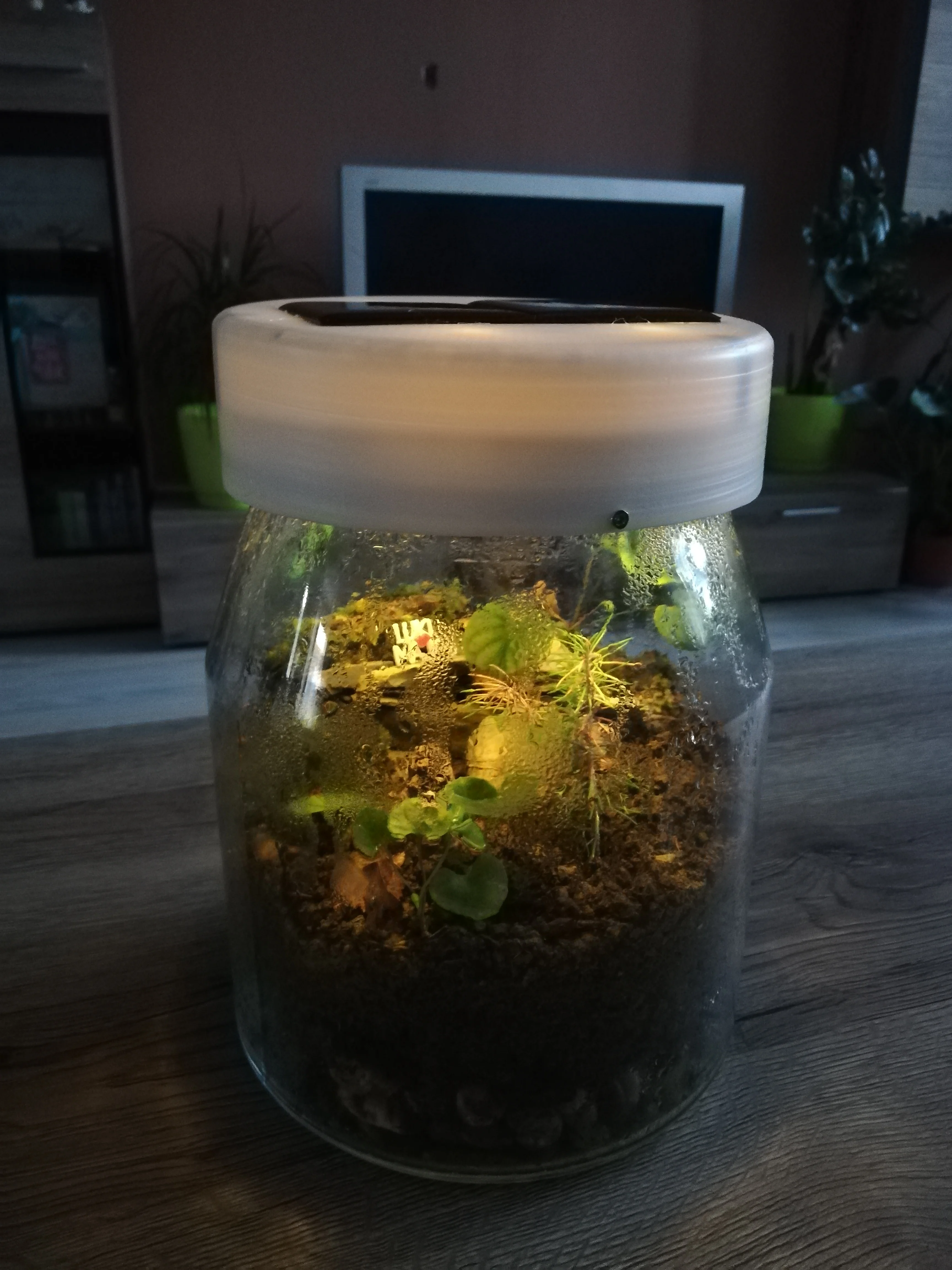 Mini terarium ligh