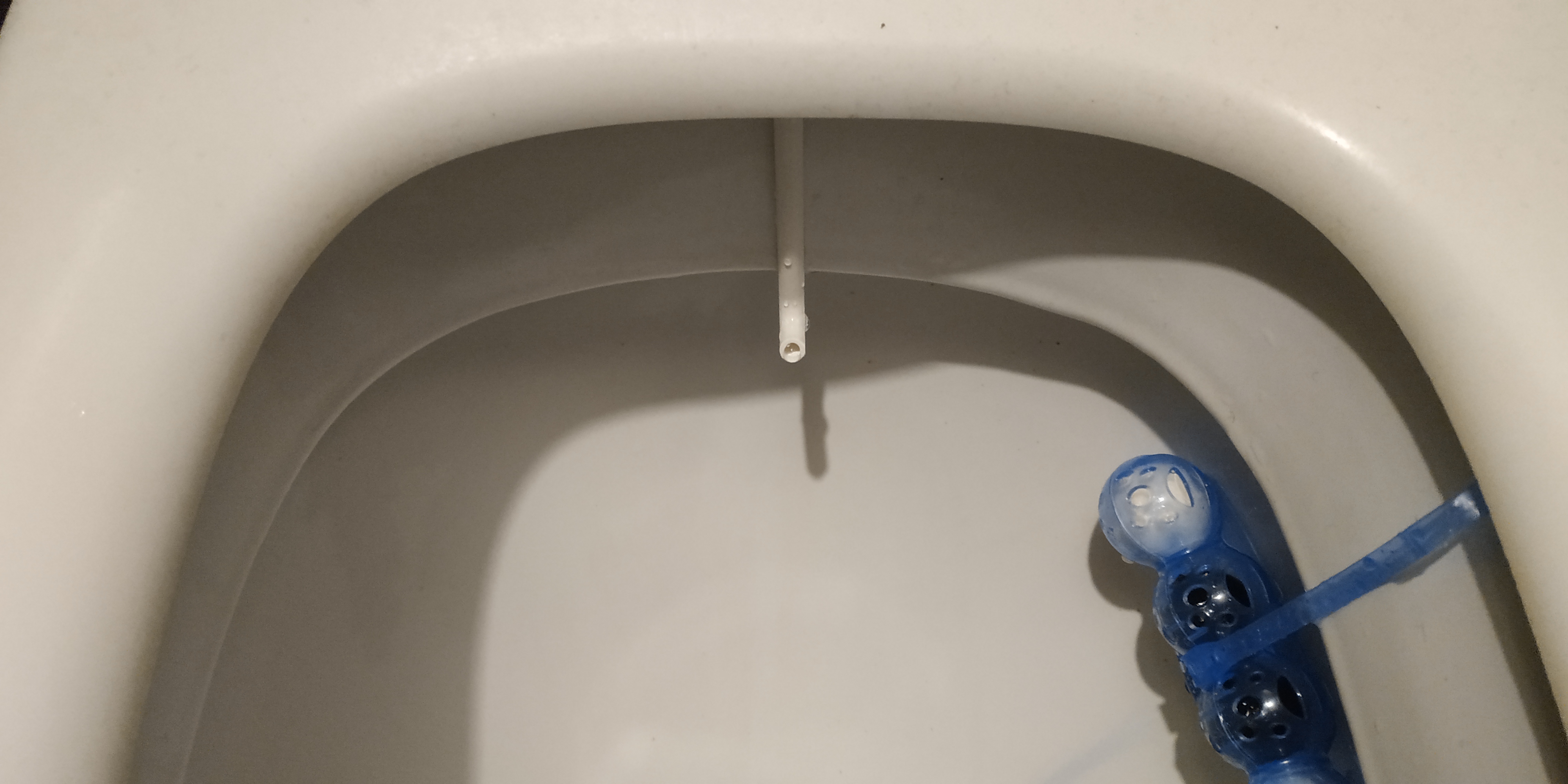 DIY Bidet (quick & easy)