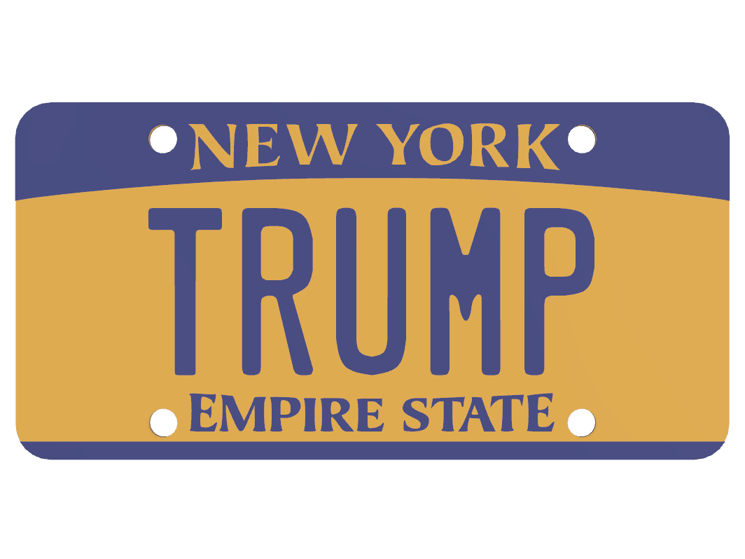 New York Bicycle Plate