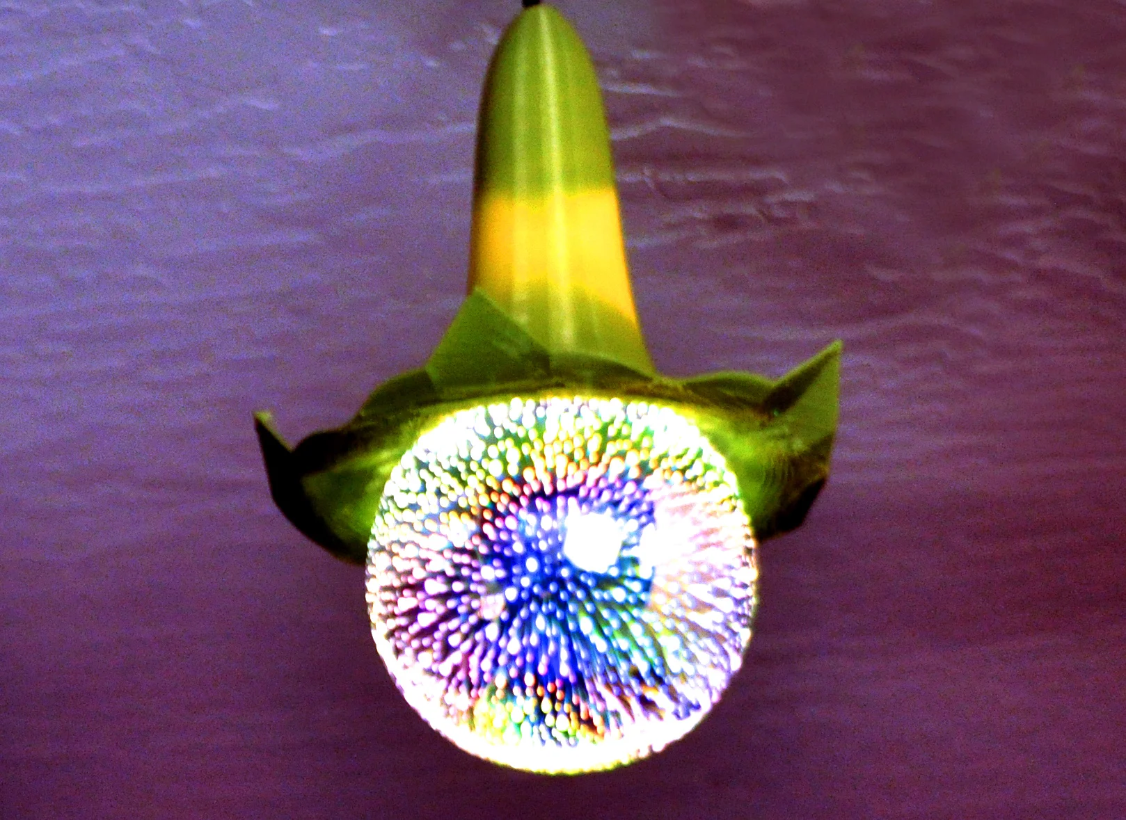 Angel's Trumpet Pendant Lamp