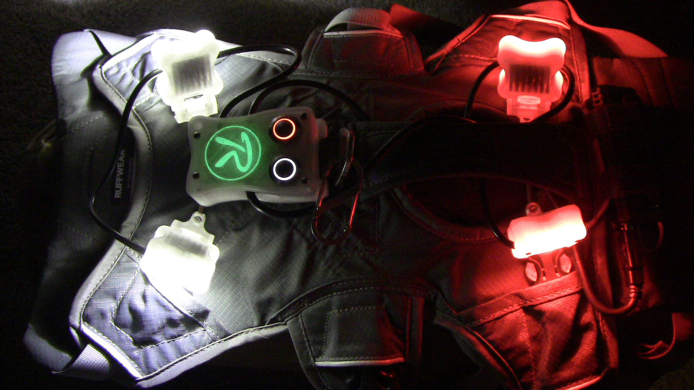 Ruffwear dog light