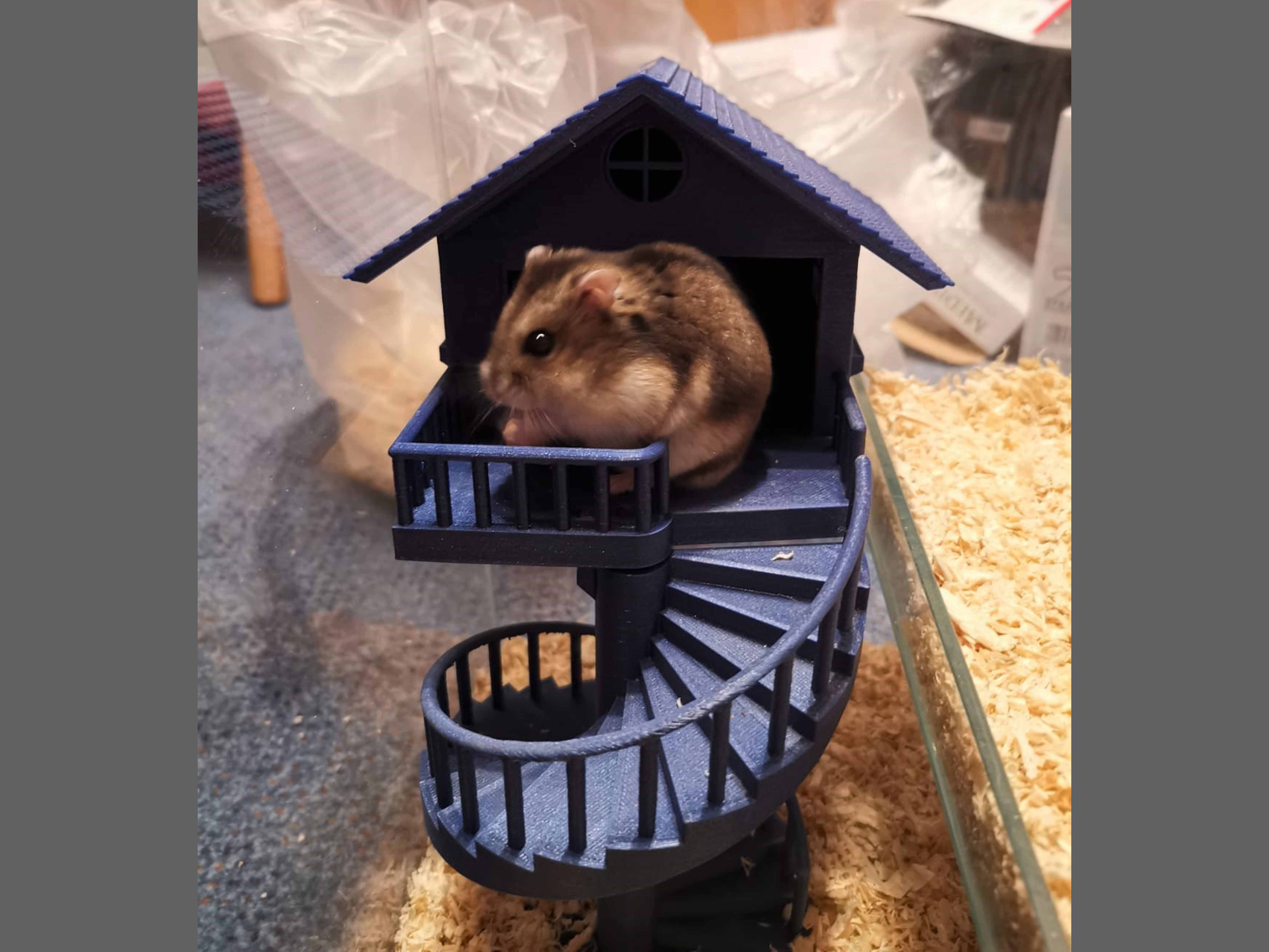 Dwarf hamster house