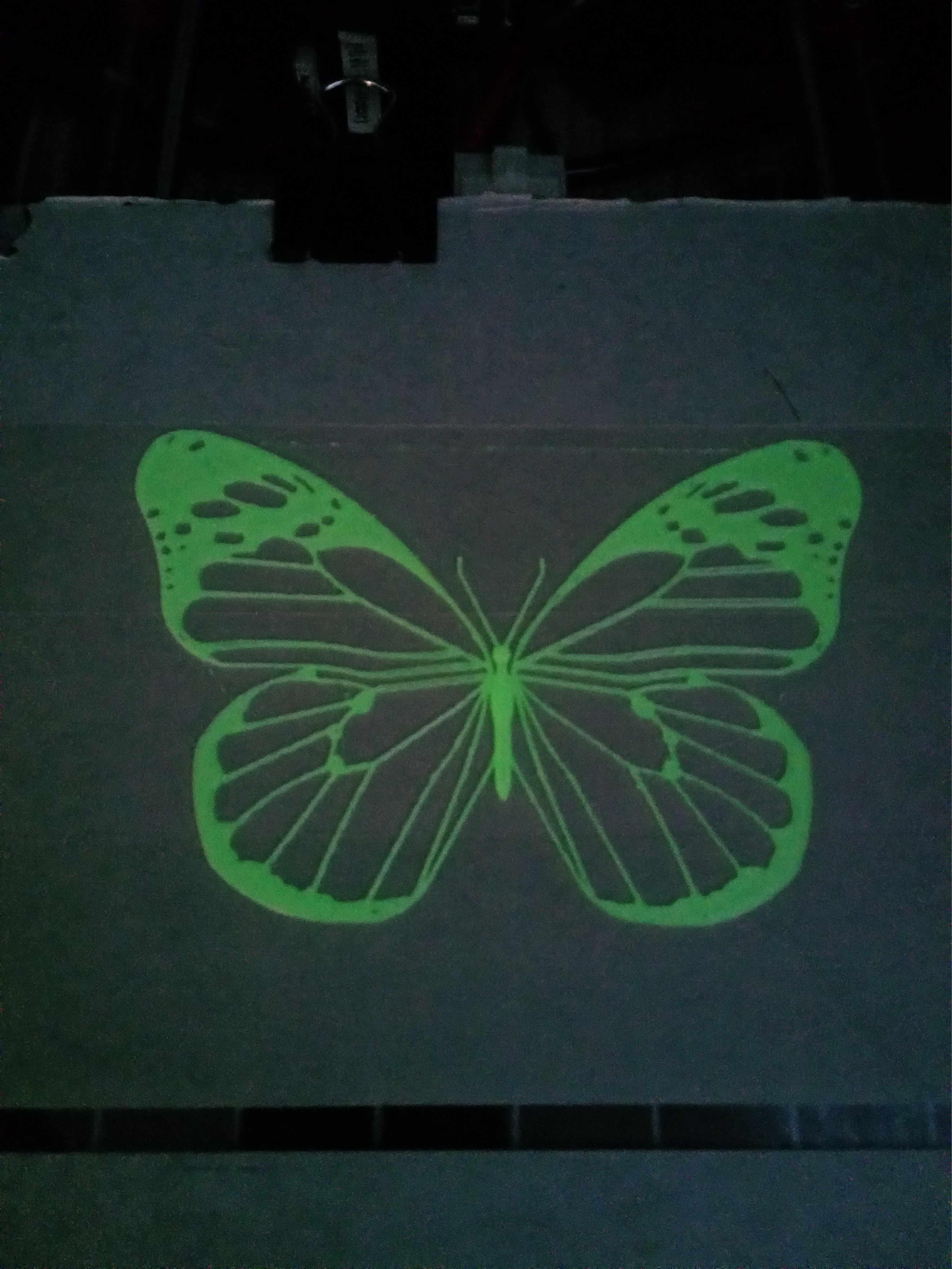 Mariposa fluorescente