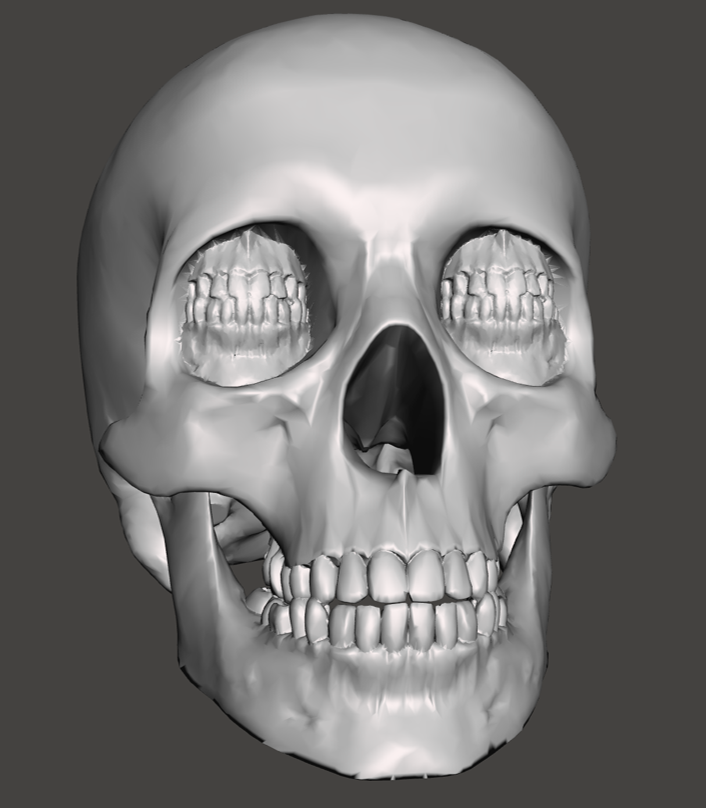 Corinthian Skull