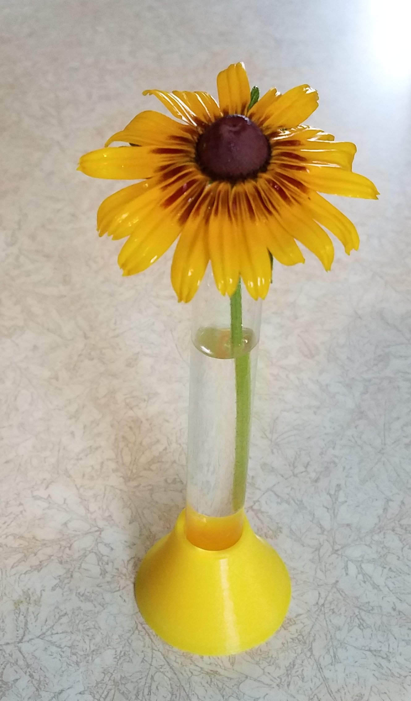 Test Tube Flower Vase