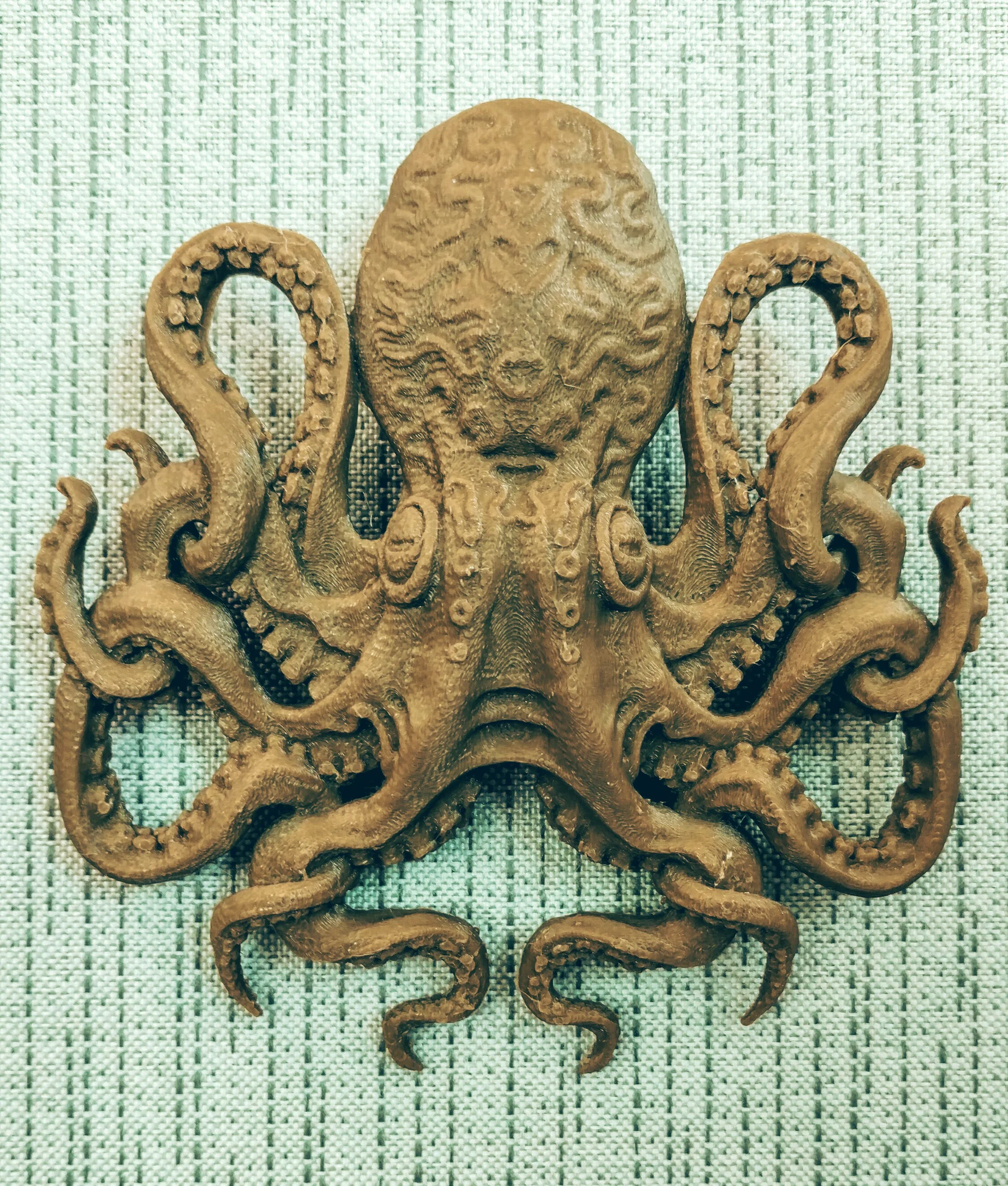 Octopus
