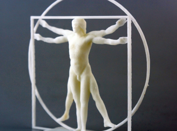 The Vitruvian Man