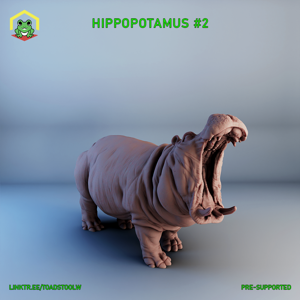 Hippopotamus - 2
