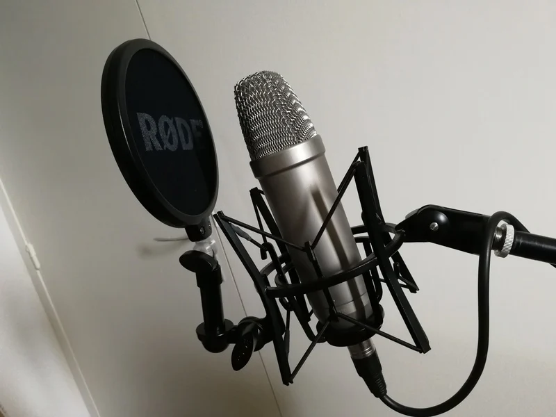 Rode SM6 / NT1A hinge