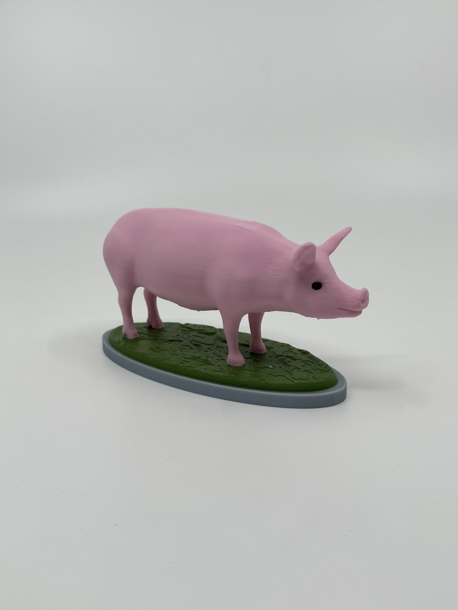 Pig