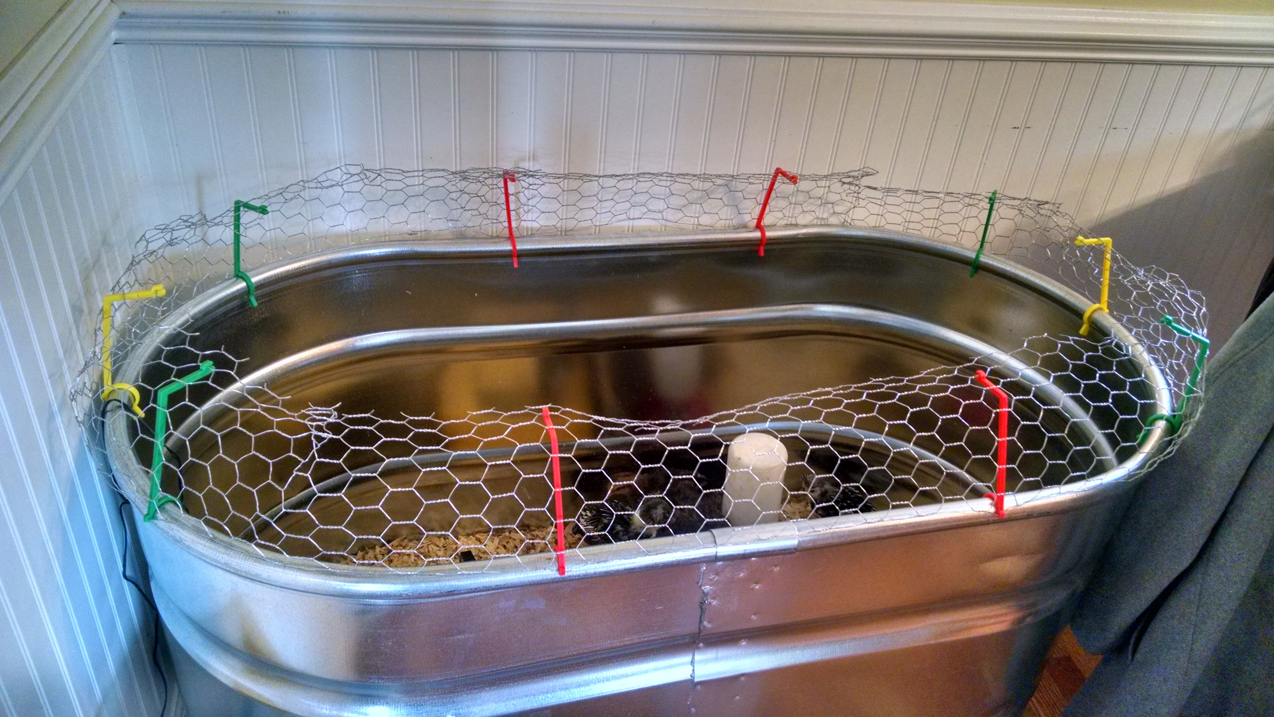 Jurassic Cluck: Chicken Brooder Fence