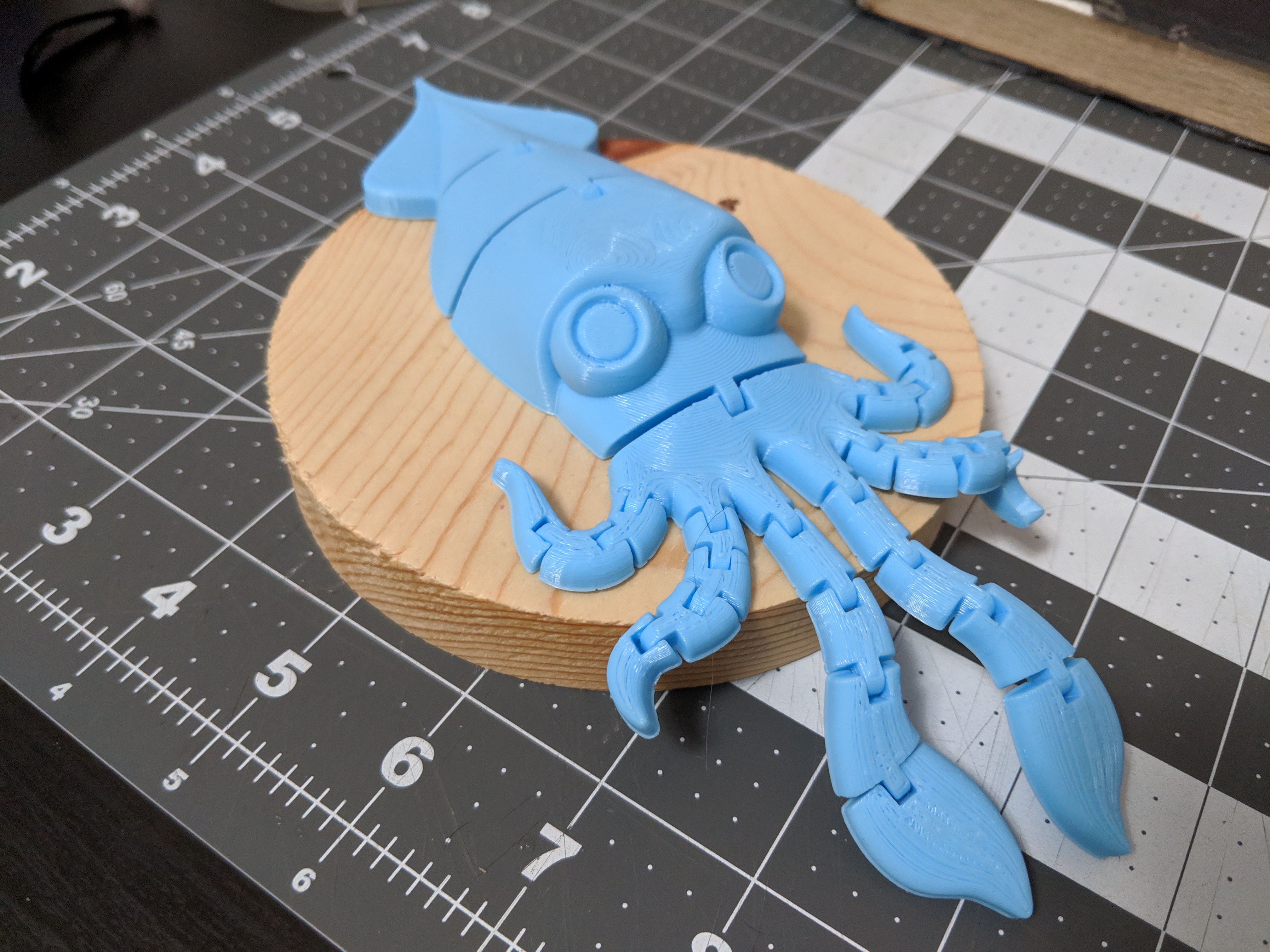 Flexi Squid!
