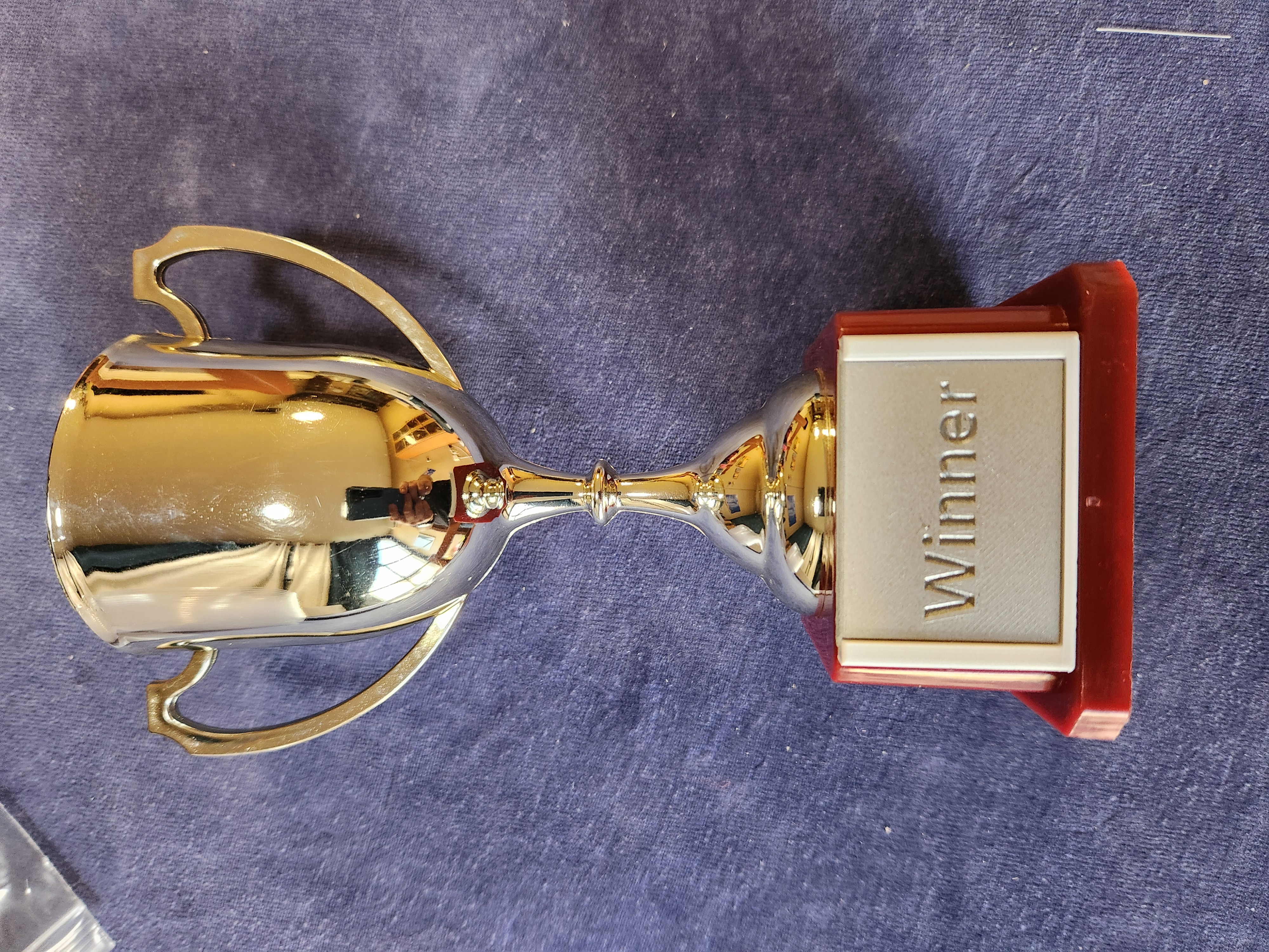 Reigning Champion Trophy - Customizable and Changeable Nameplate and Base - for Trophies