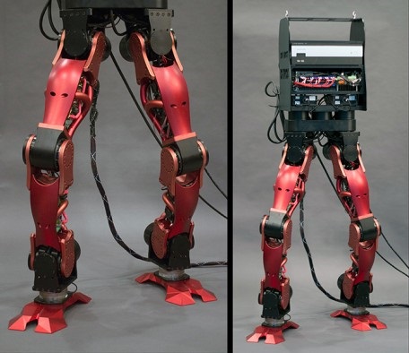 DyRos Humanoid Robot