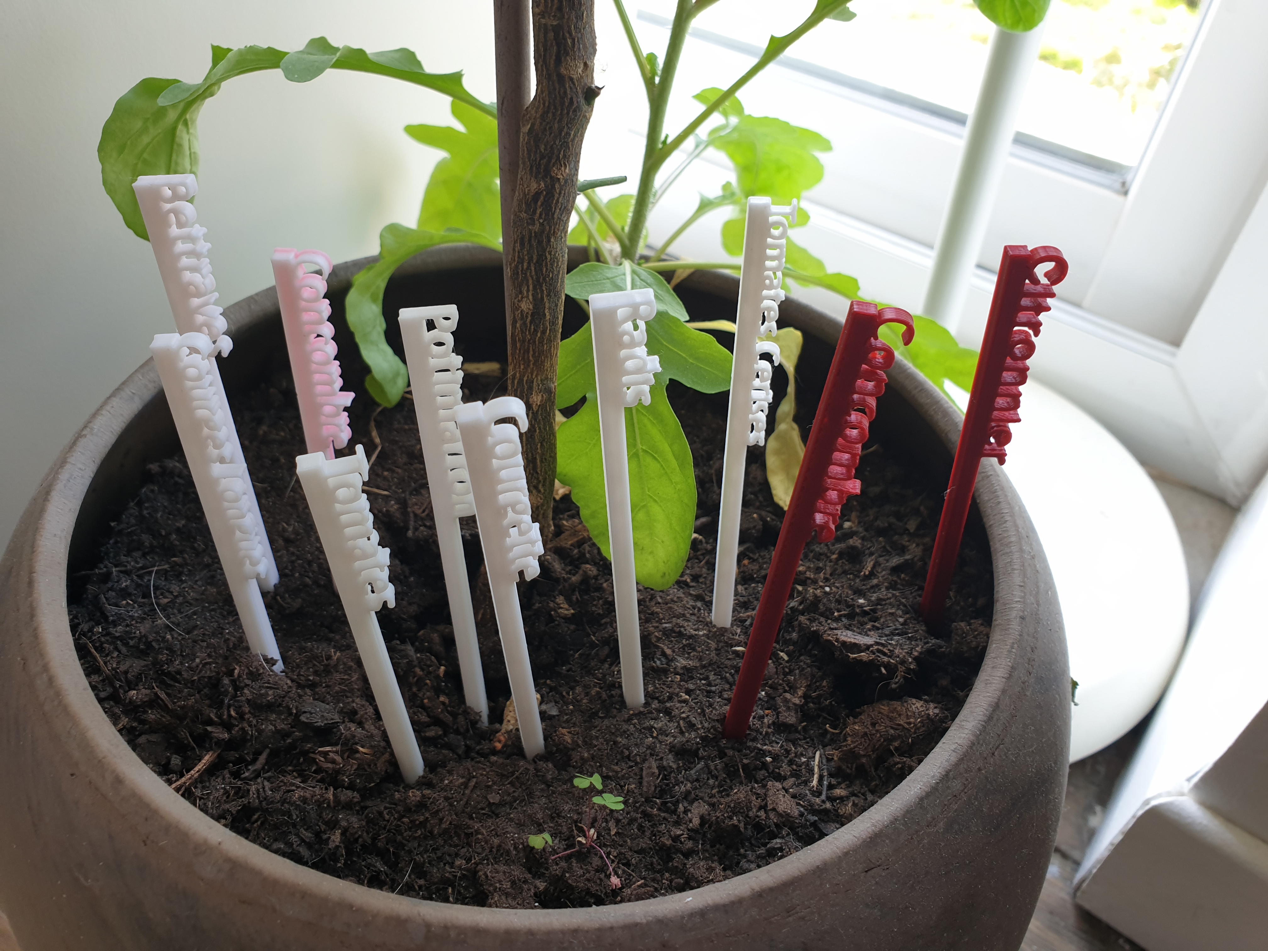 Etiquettes de jardinage en francais -  French Gardening labels