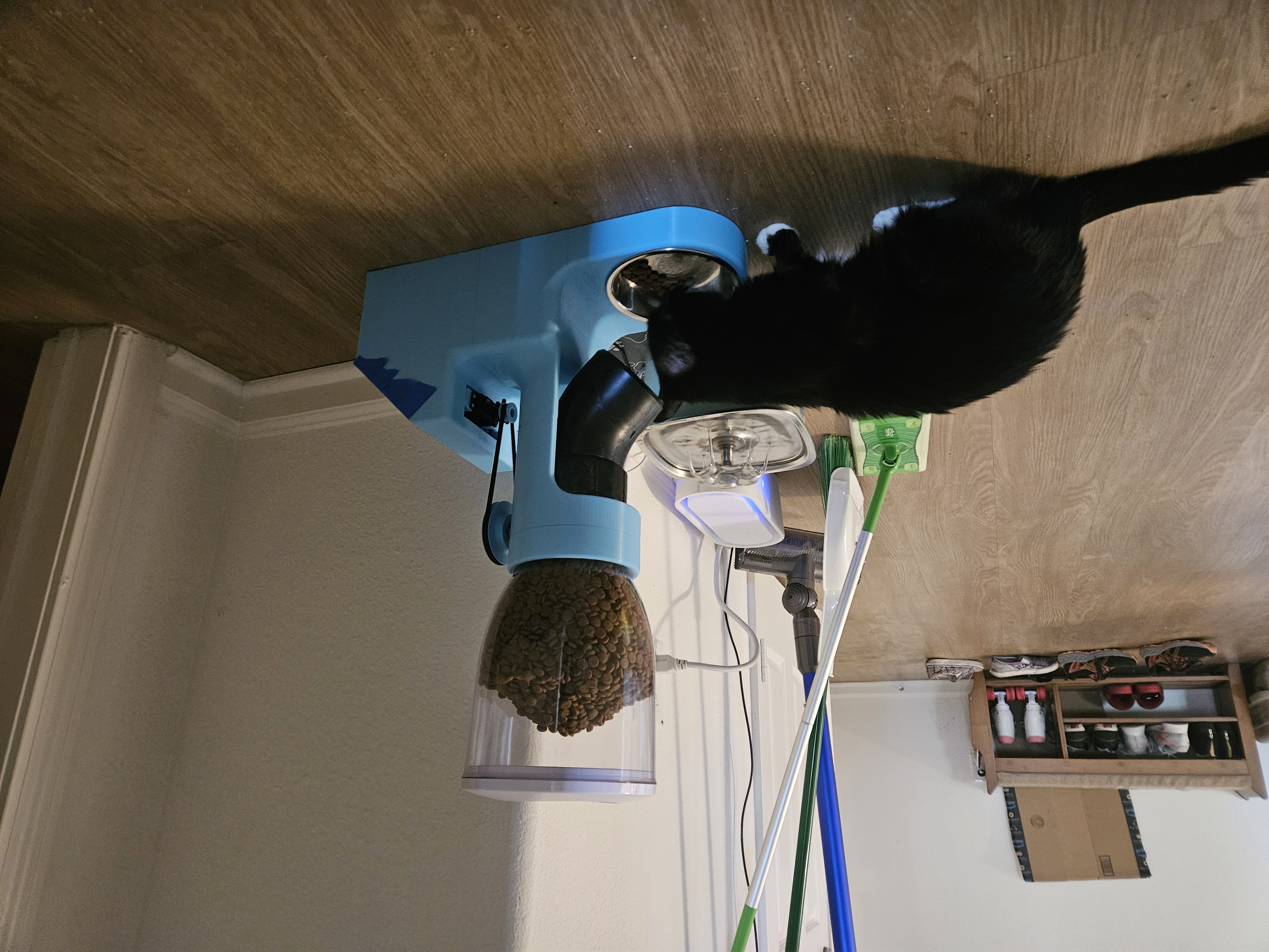 Automatic Cat Feeder