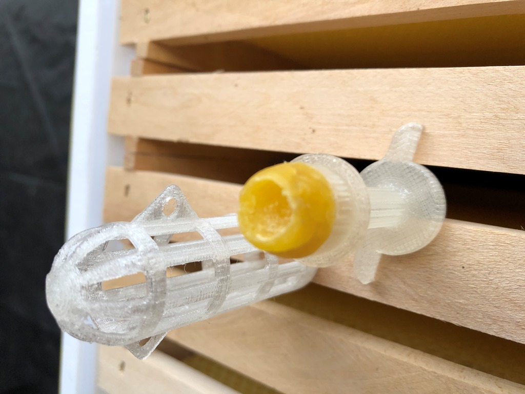 Bienen Königin Aufzucht Käfig / Honey Bee Queen Cage