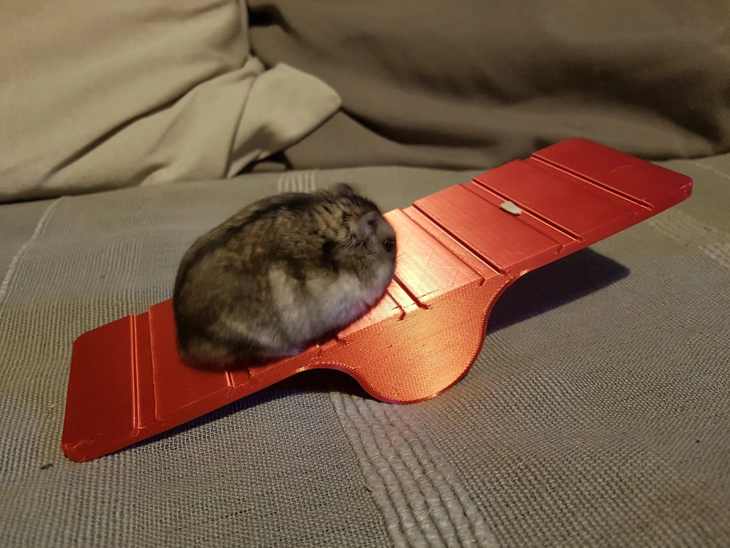 ROCKER SWING FOR HAMSTER