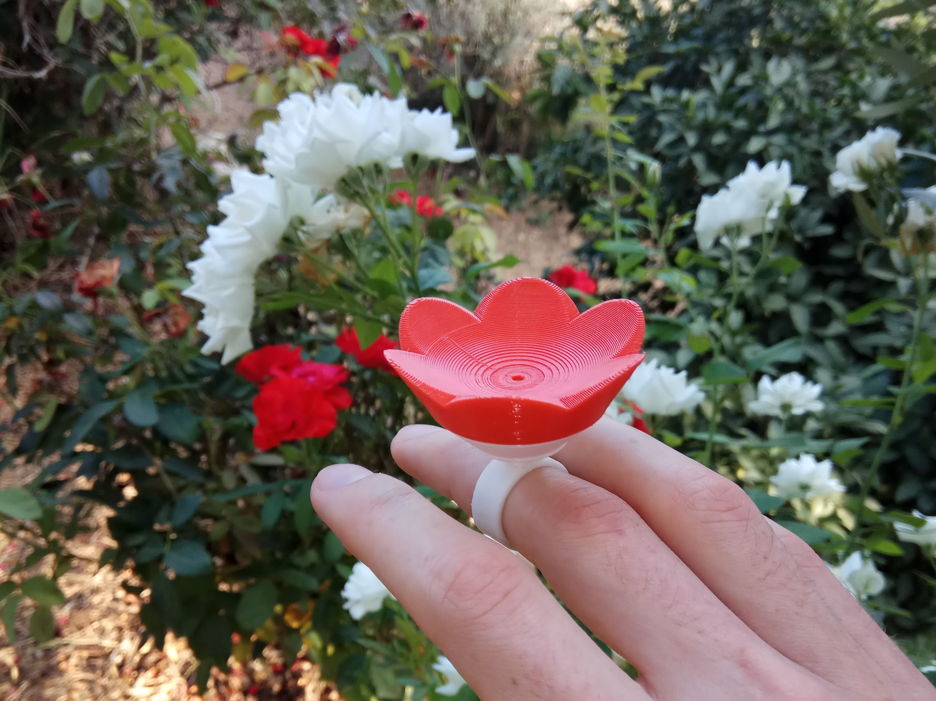 Hummingbird Ring Feeder